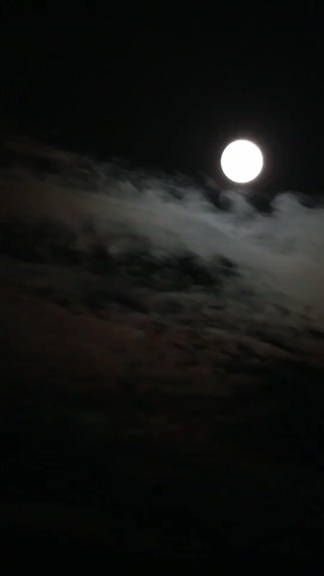 Oops, I'm a Princess!