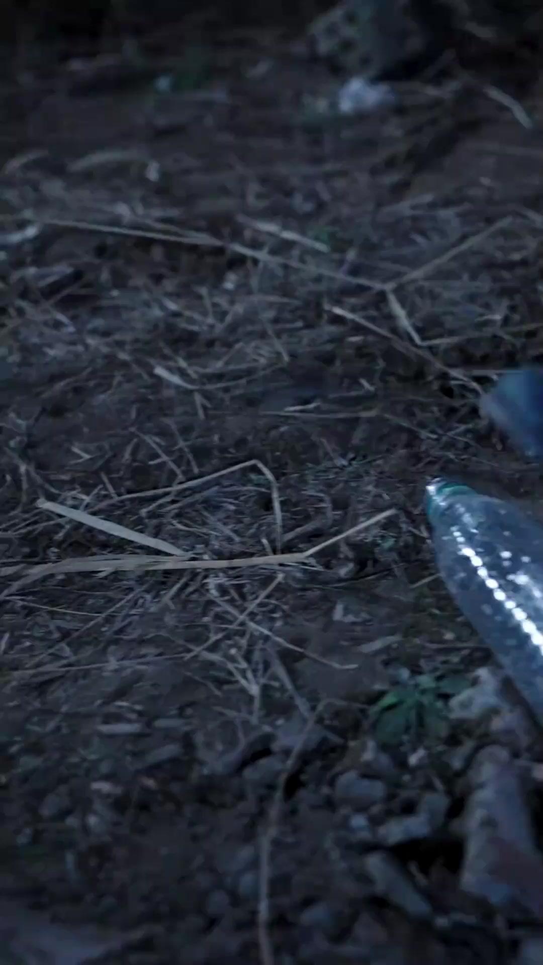 내가 다시 태어난 이유