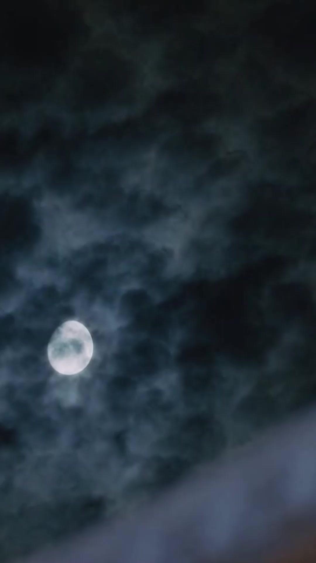 Treasury Queen Returns