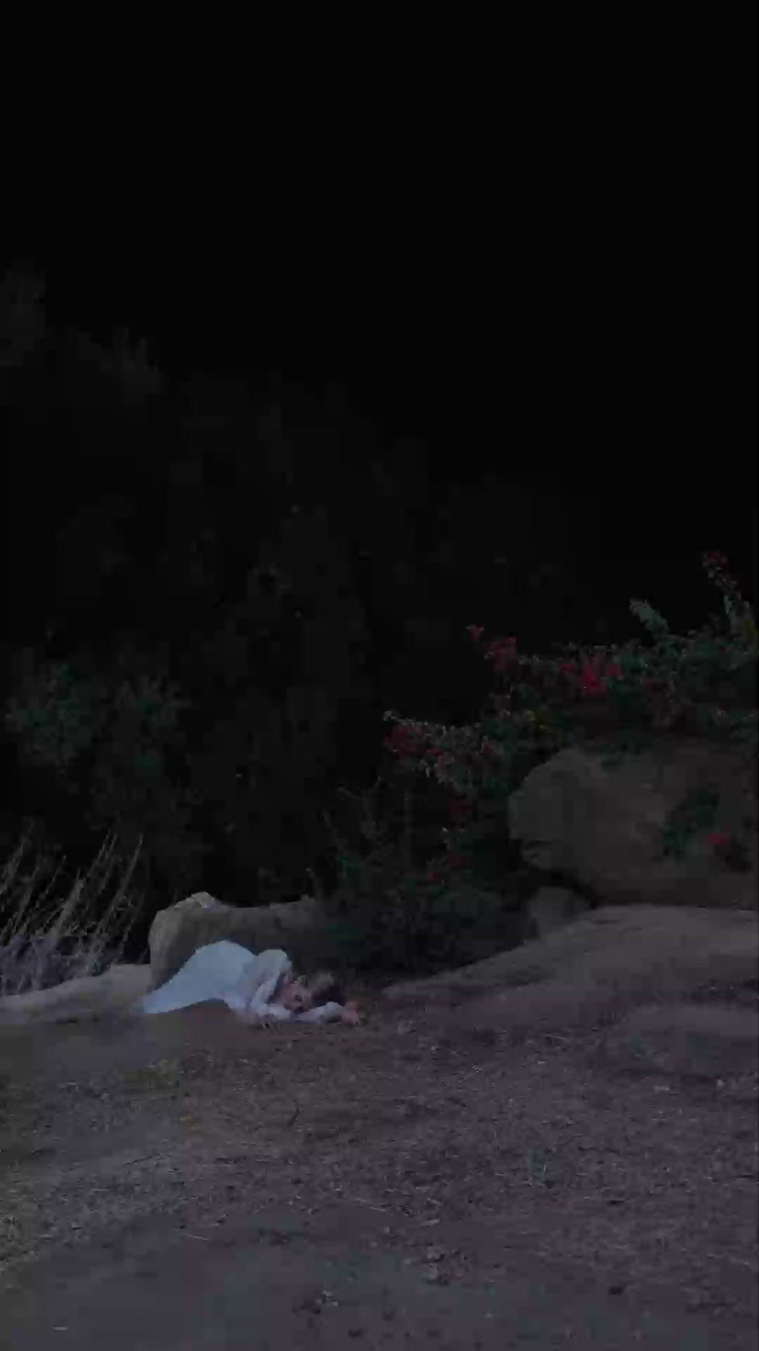 (Doblado) Fénix encarcelada