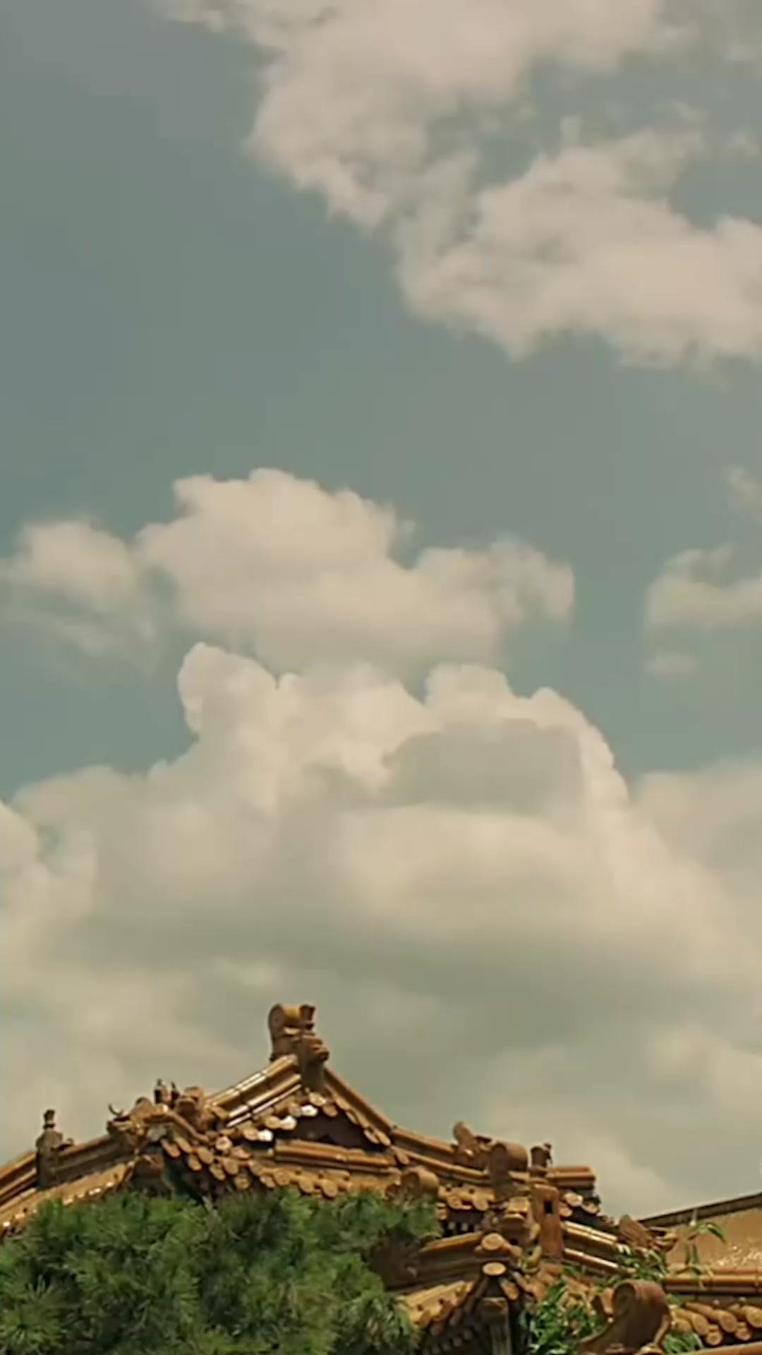 My Clingy Husband by Contract