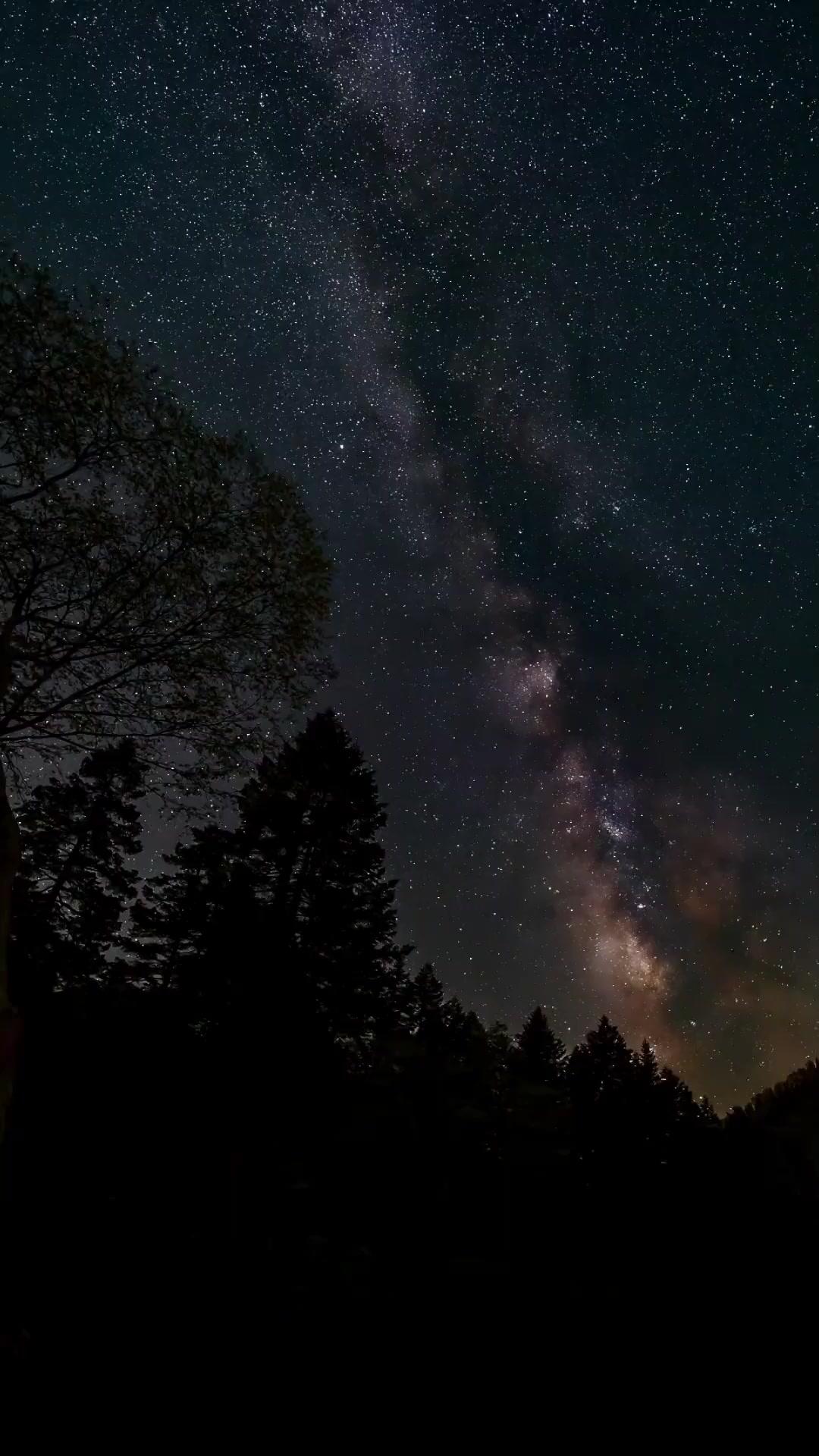 เกียรติยศที่ซ่อนเร้น