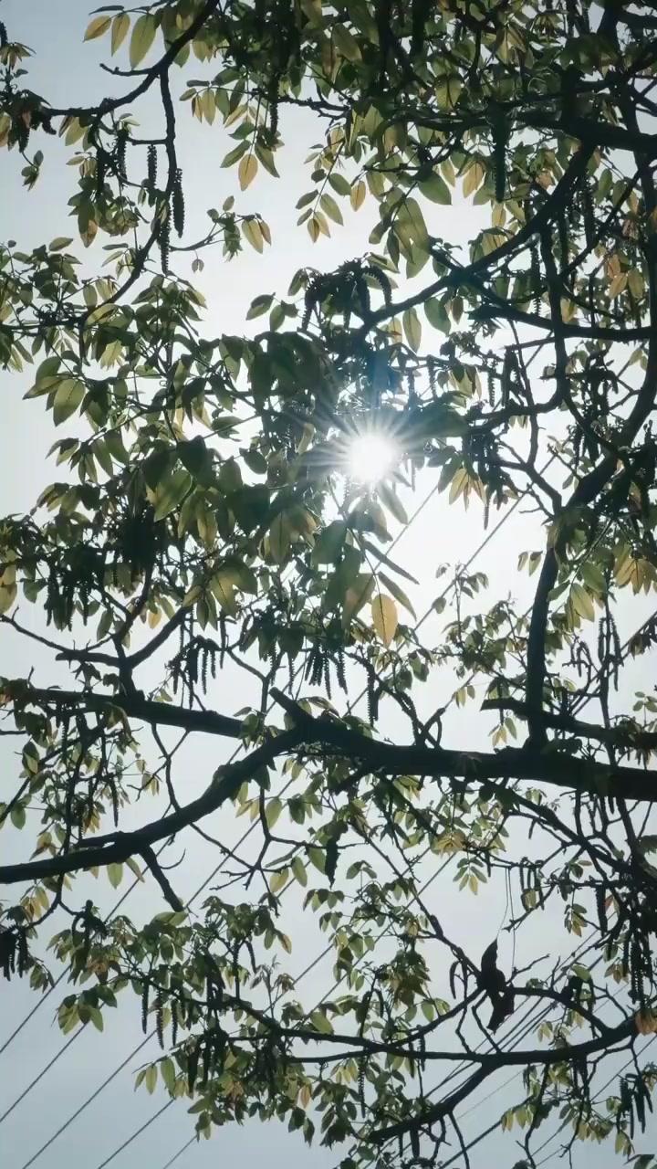 (Dublagem)O Herdeiro e Sua Deusa Apegada