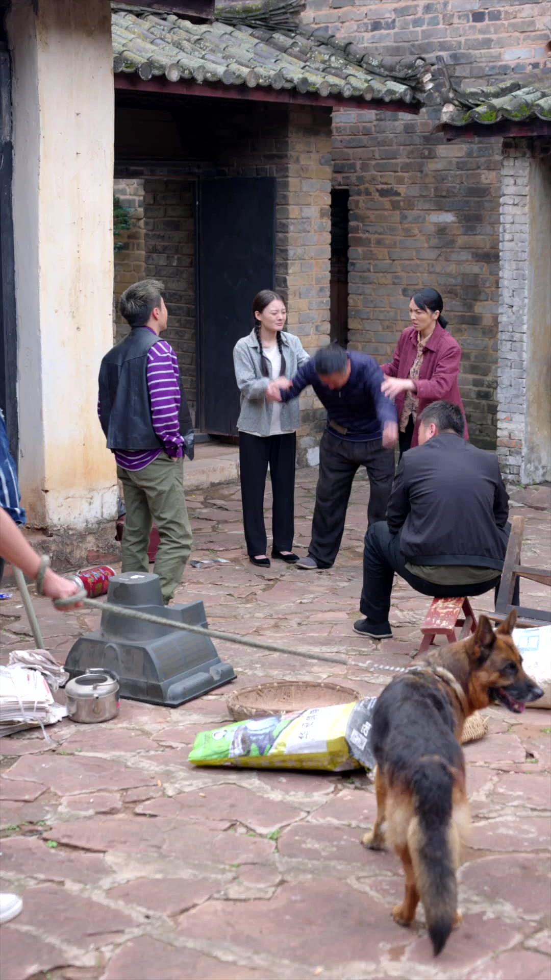 FLORAISON EN PLEIN ÉTÉ 