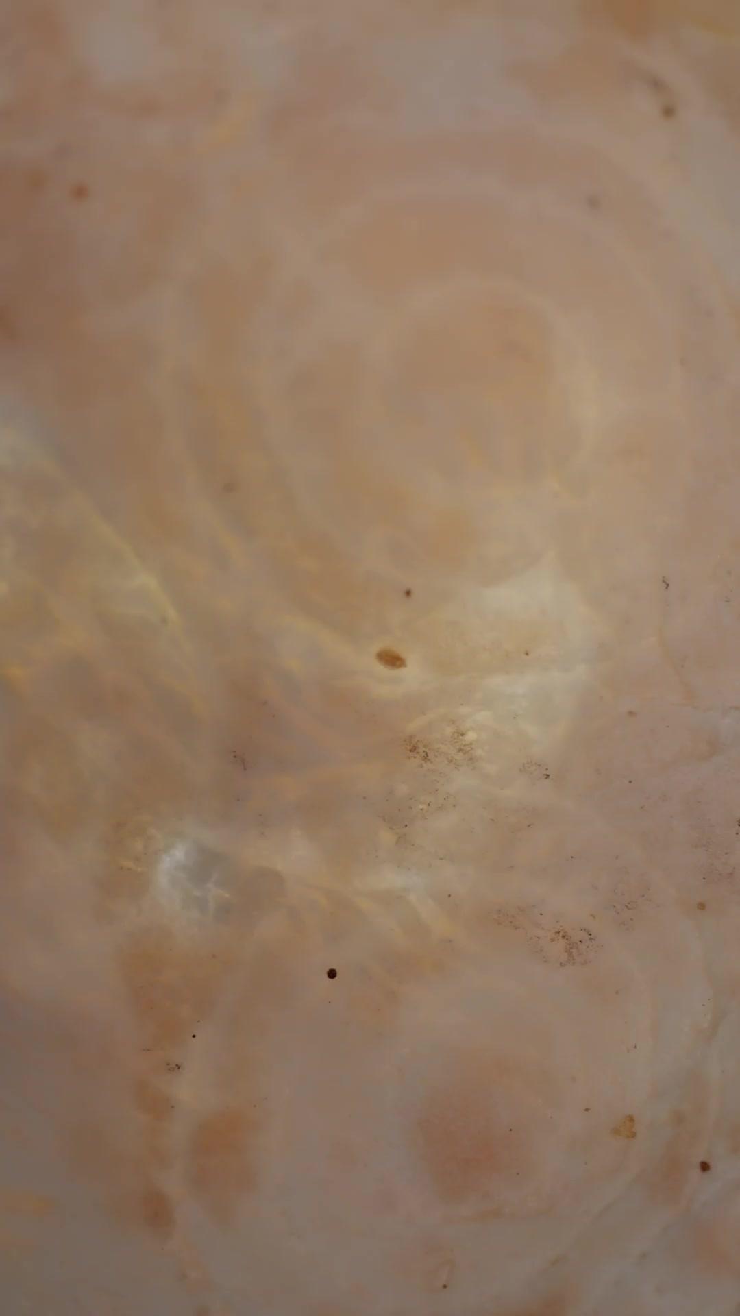 UN SOUVERAIN MAL ÉLEVÉ