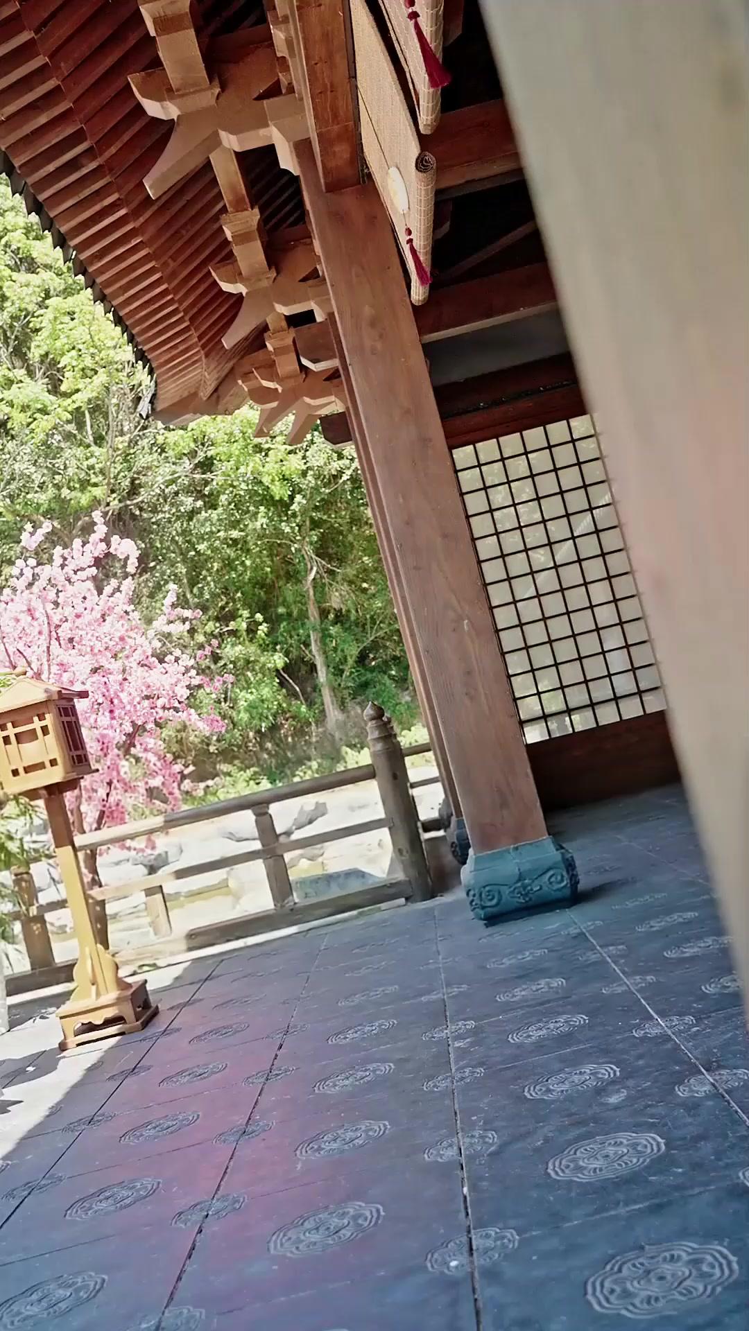 Bir Yalanın Anatomisi