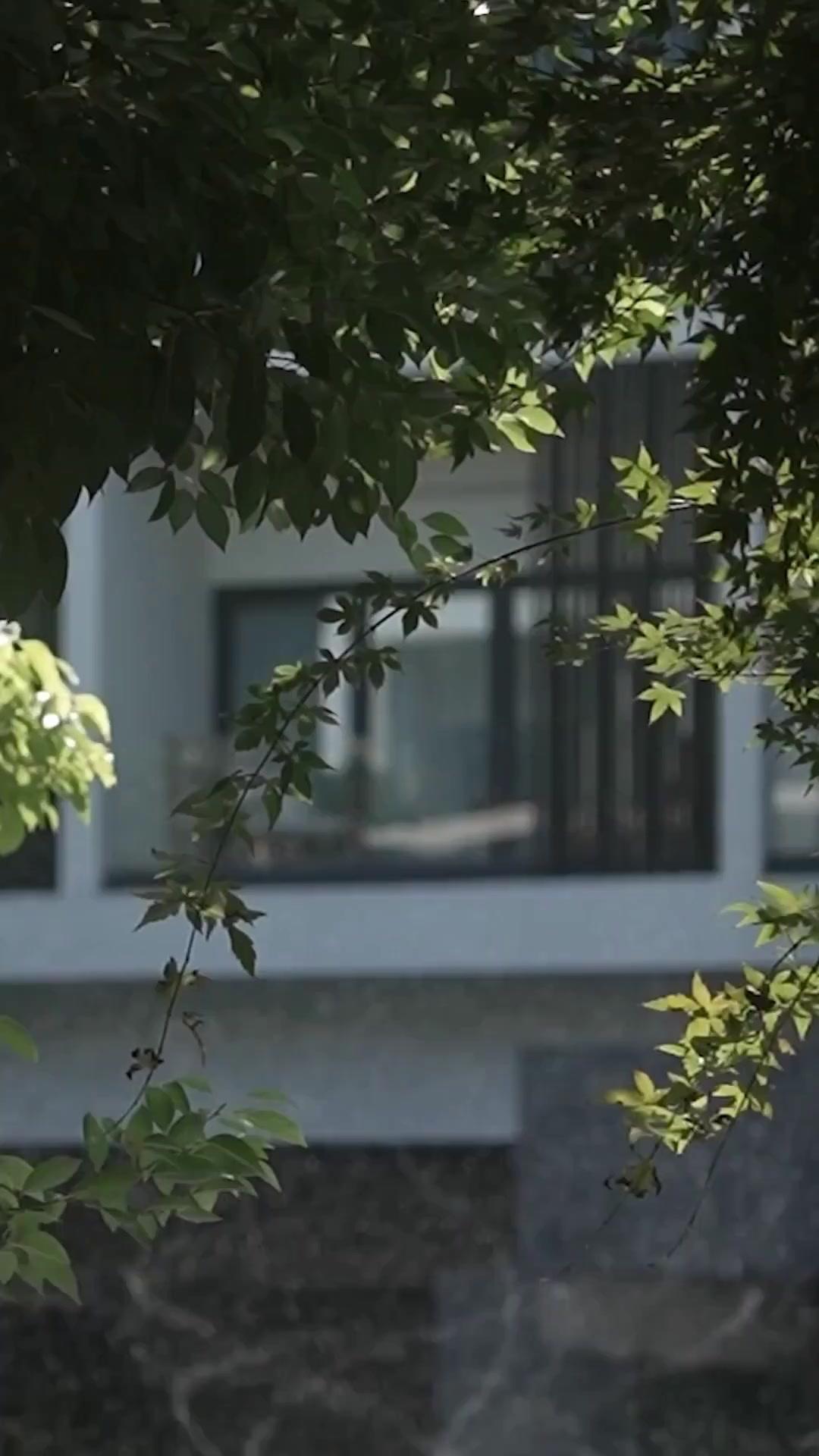 (พากย์เสียง) หนี้รักในความมืด