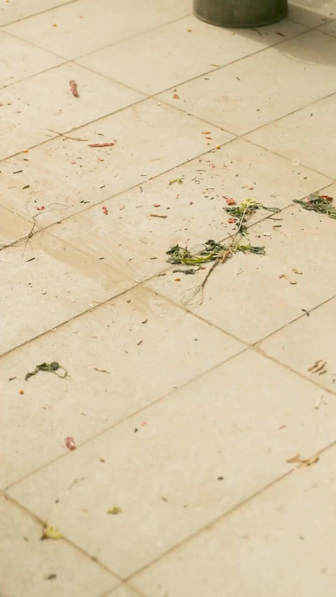 في جسد قديم... قلب لا يُهزم