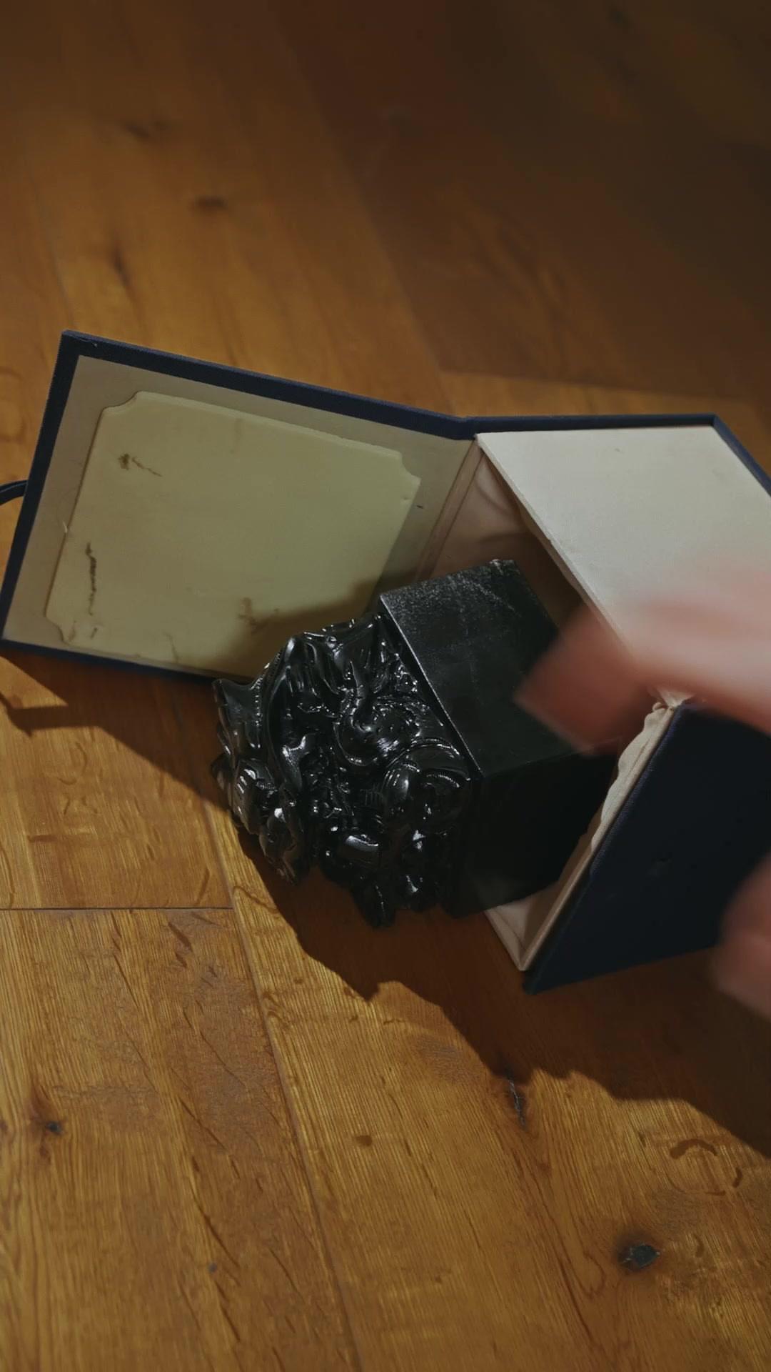 Mi madrastra, mi obsesión