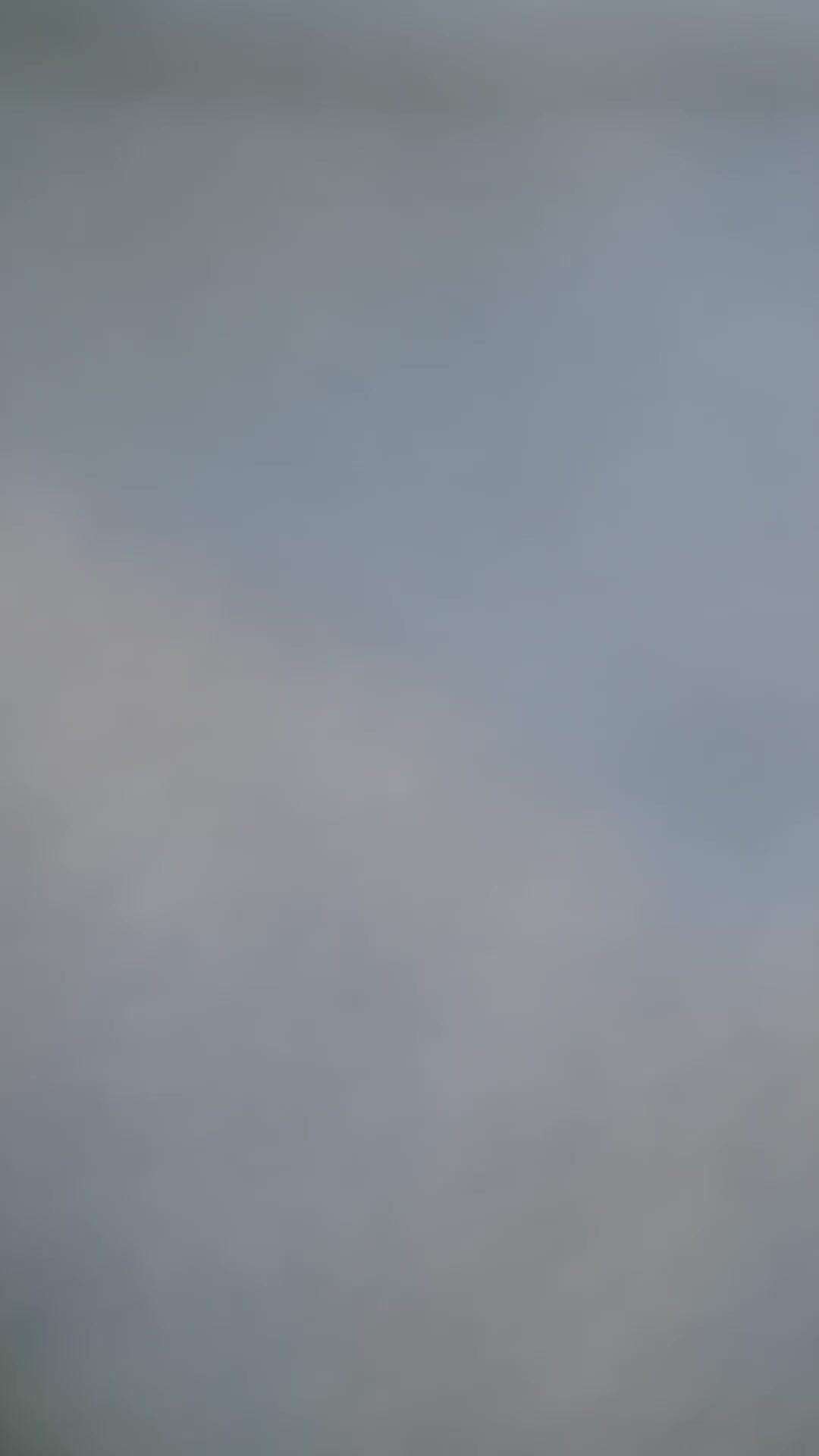 Luz Entre as Sombras