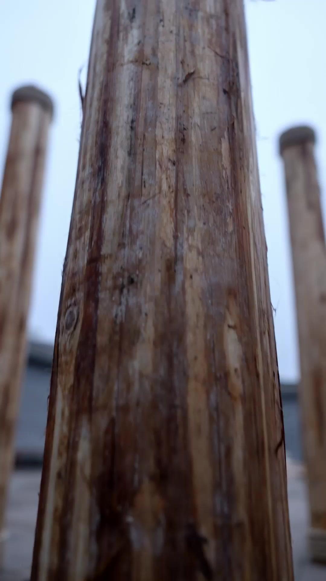 강호를 뒤흔든 여자