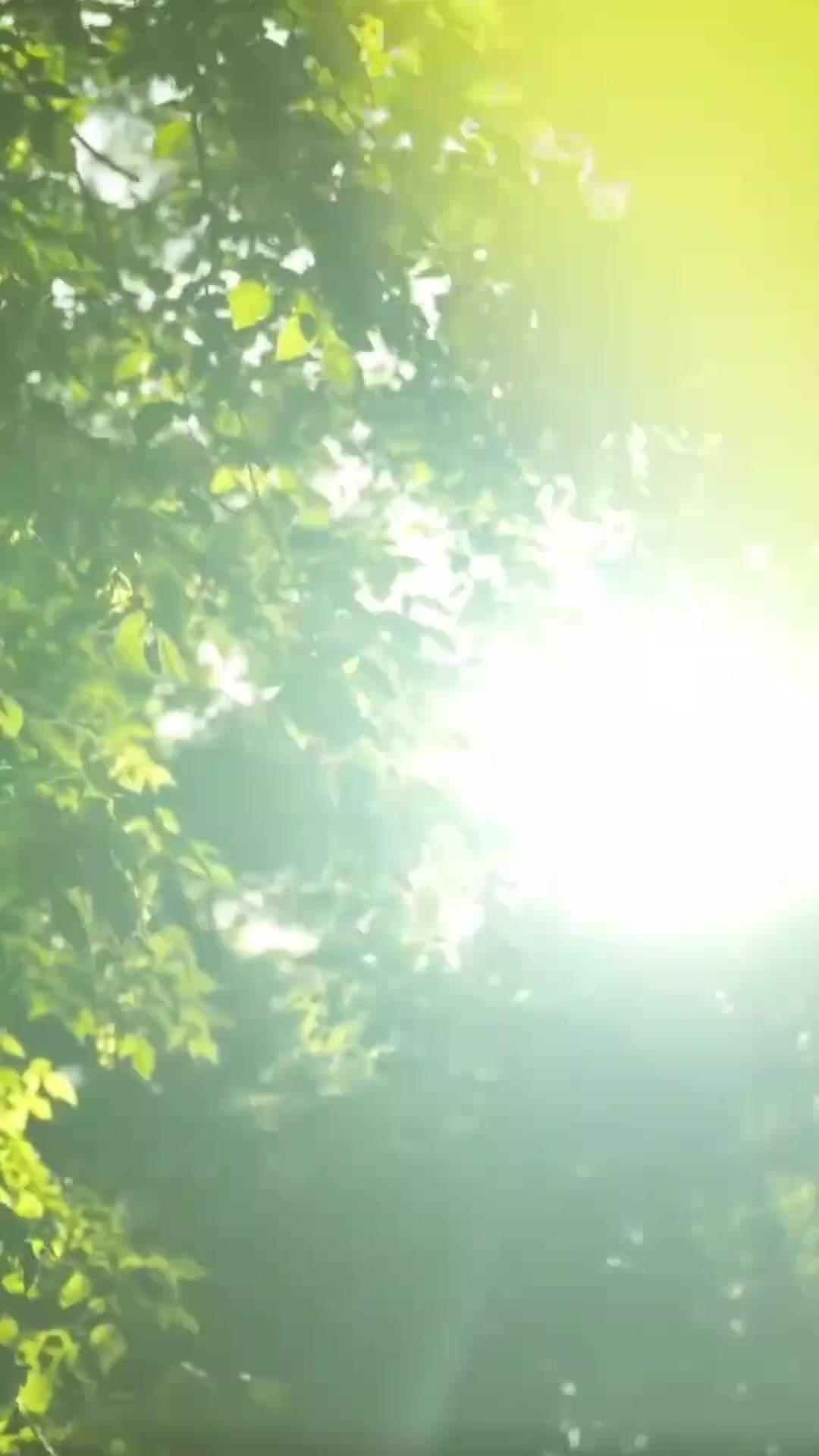 Nemo, the Lucky Charm