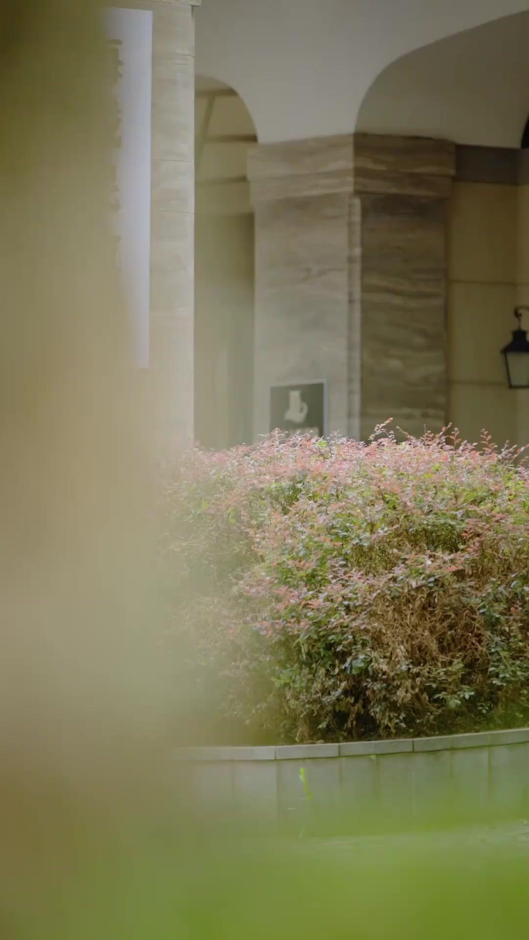 El juego contra los infieles