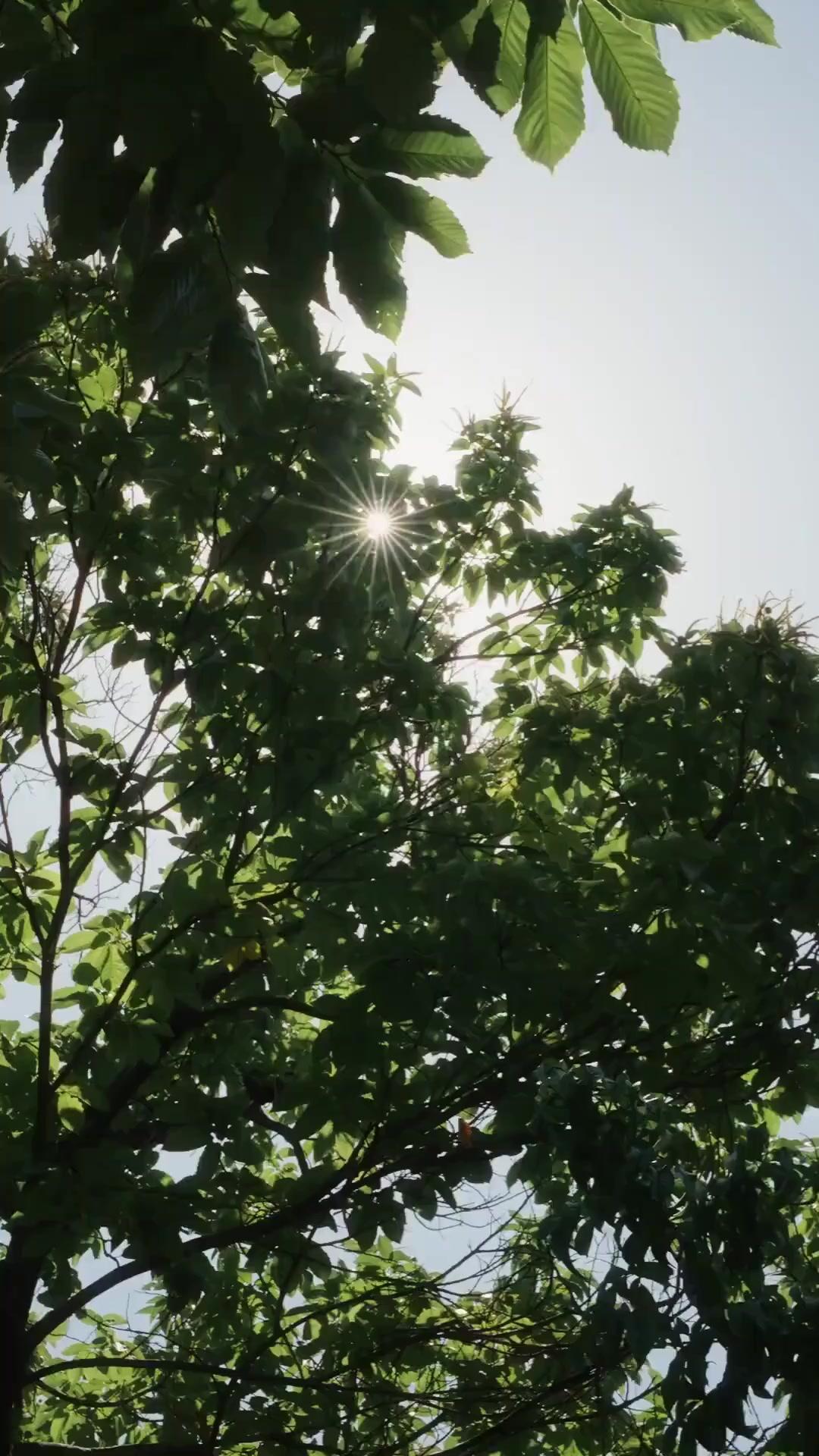 (พากย์เสียง)คุณหนูสายฟาด แต่งปุ๊บรักปั๊บ