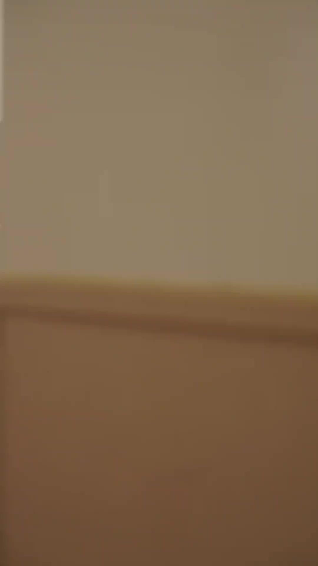 Fortune's Favorite Fool