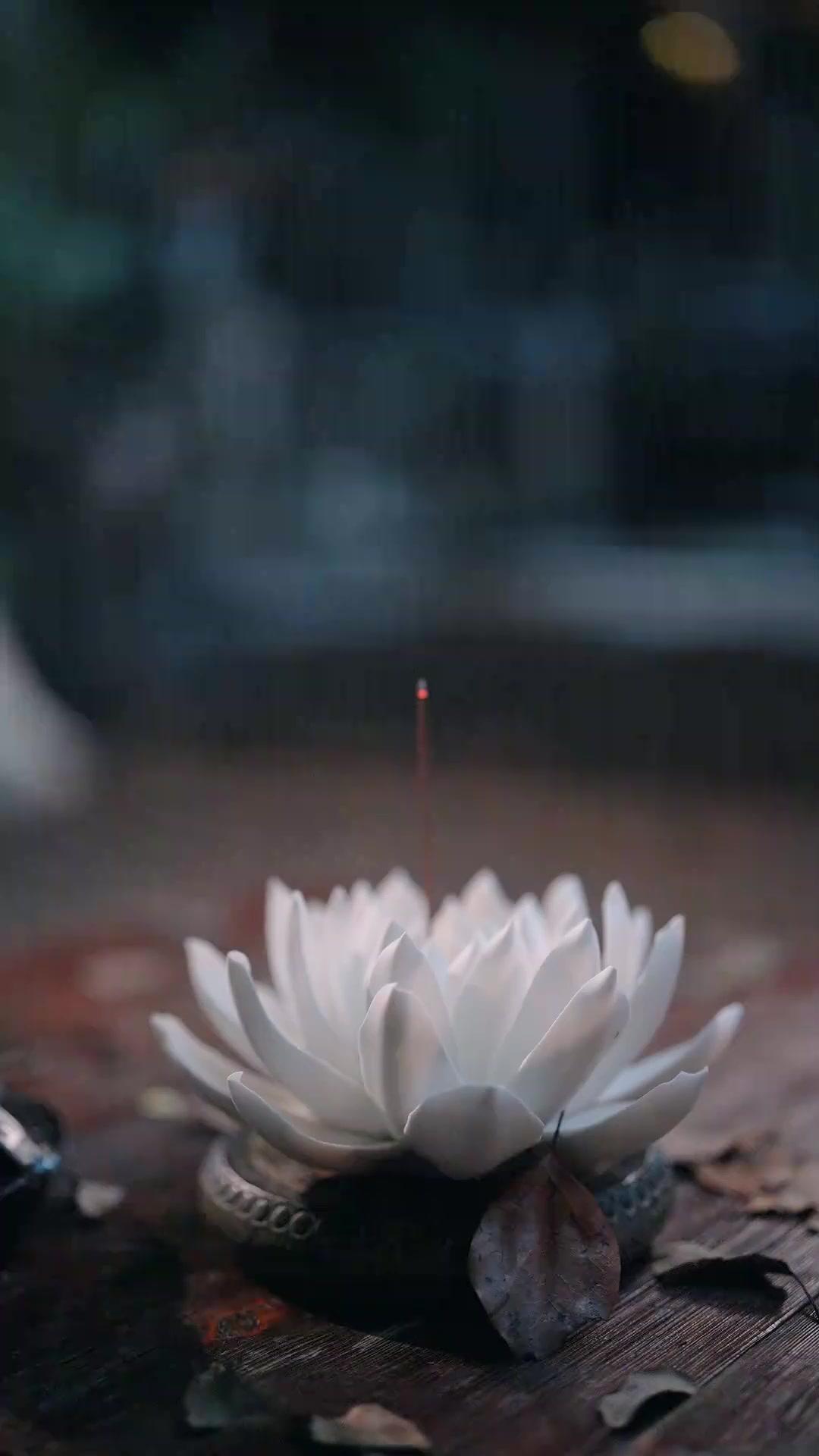 EMPAT JIWA, SATU TAKDIR