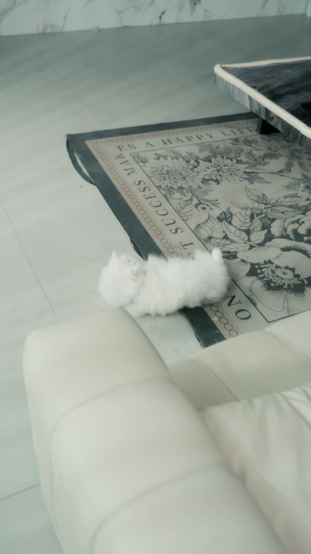 (Sulih suara)Para kakak yang sedih karena kepergianku