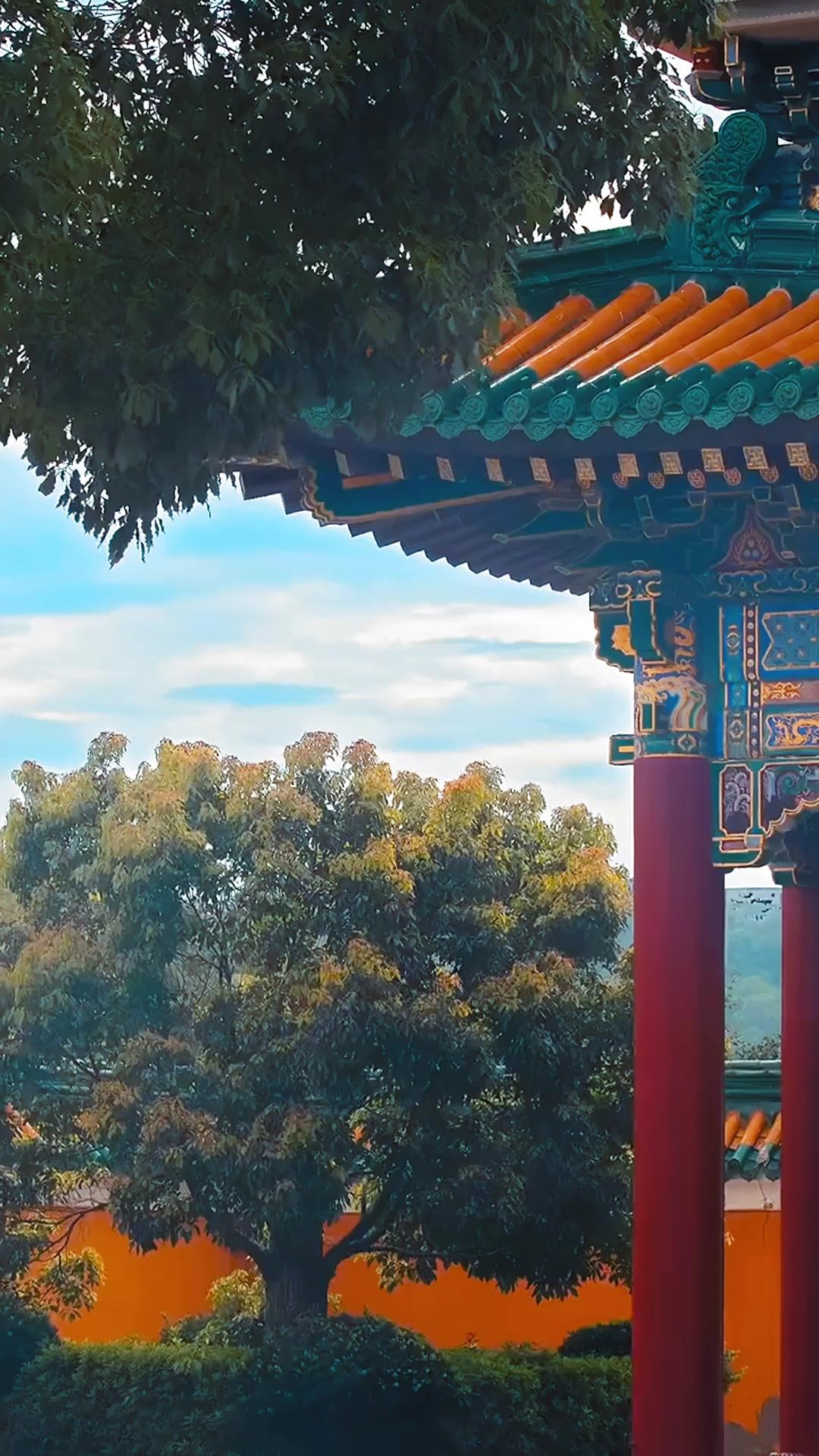 Thái Y Hoàng Triều