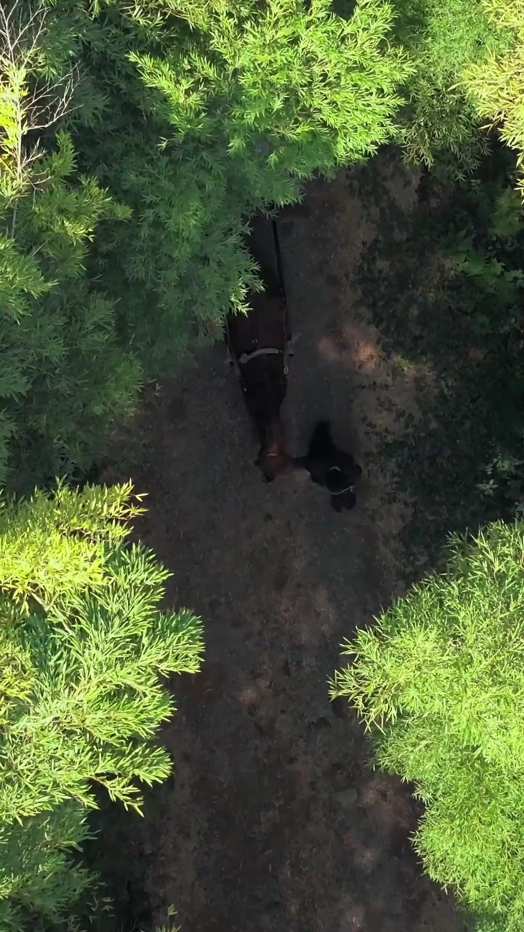 Leluhur Kecil Penyelamat Keluarga