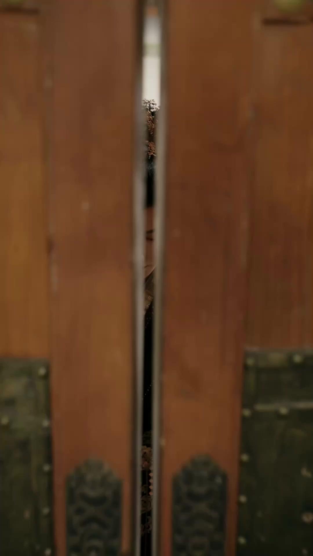 ¡Crié a mi futuro esposo!