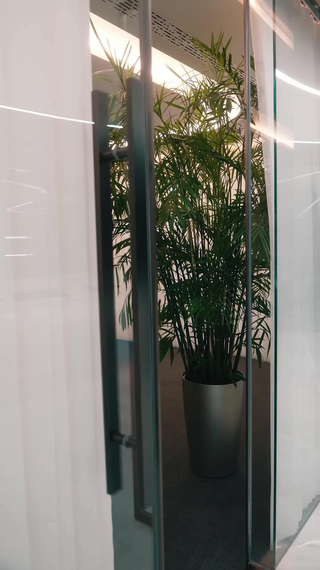 Kiss Me Before I Remember