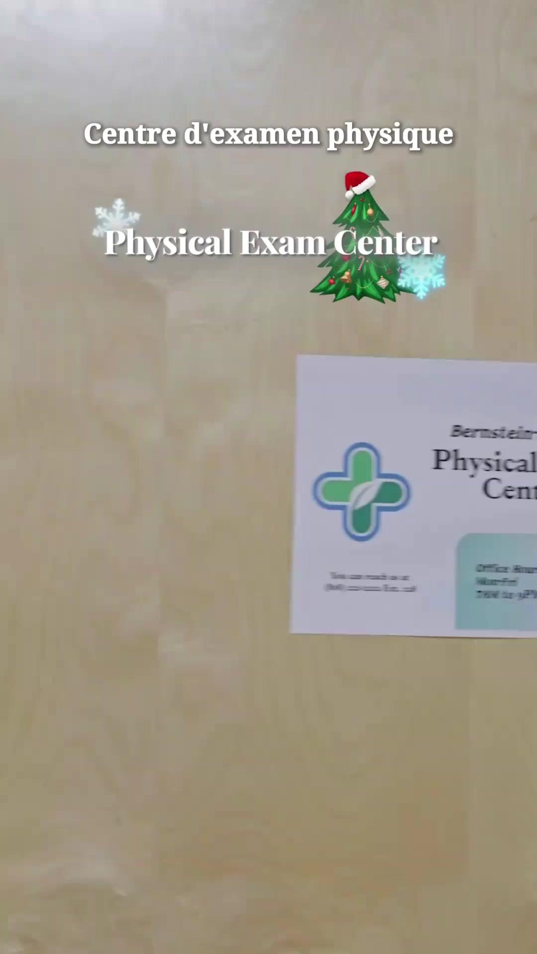 (Doublage)Mon Patron, le Gigolo de Noël