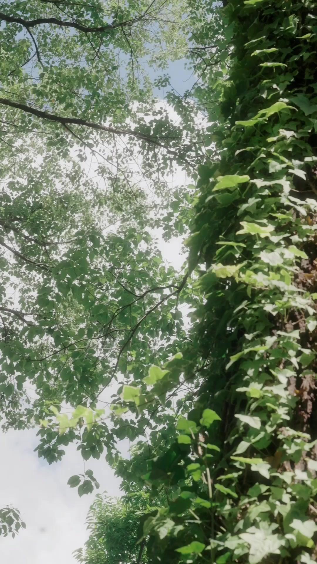 Kaderin Yazdığı Evlilik