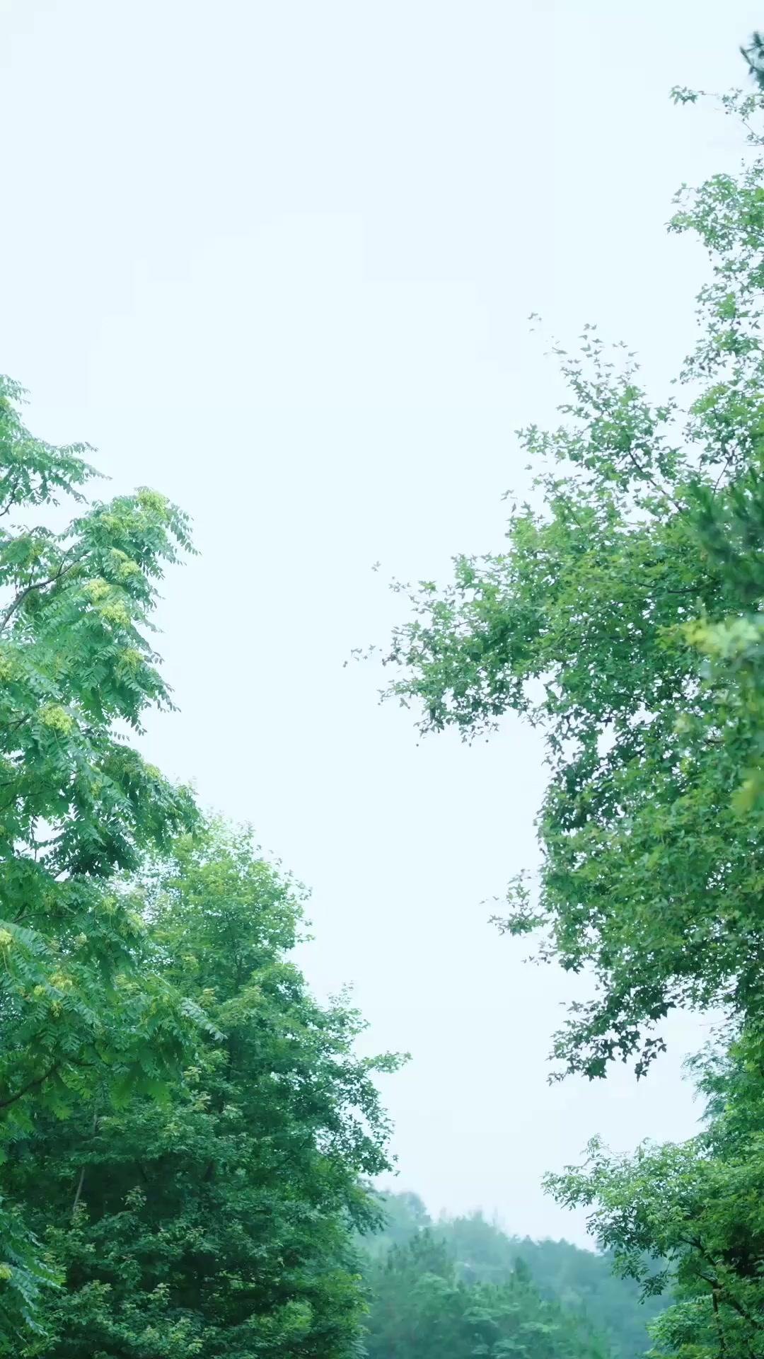 (吹き替え) 占いて候 我は運命の相手なり