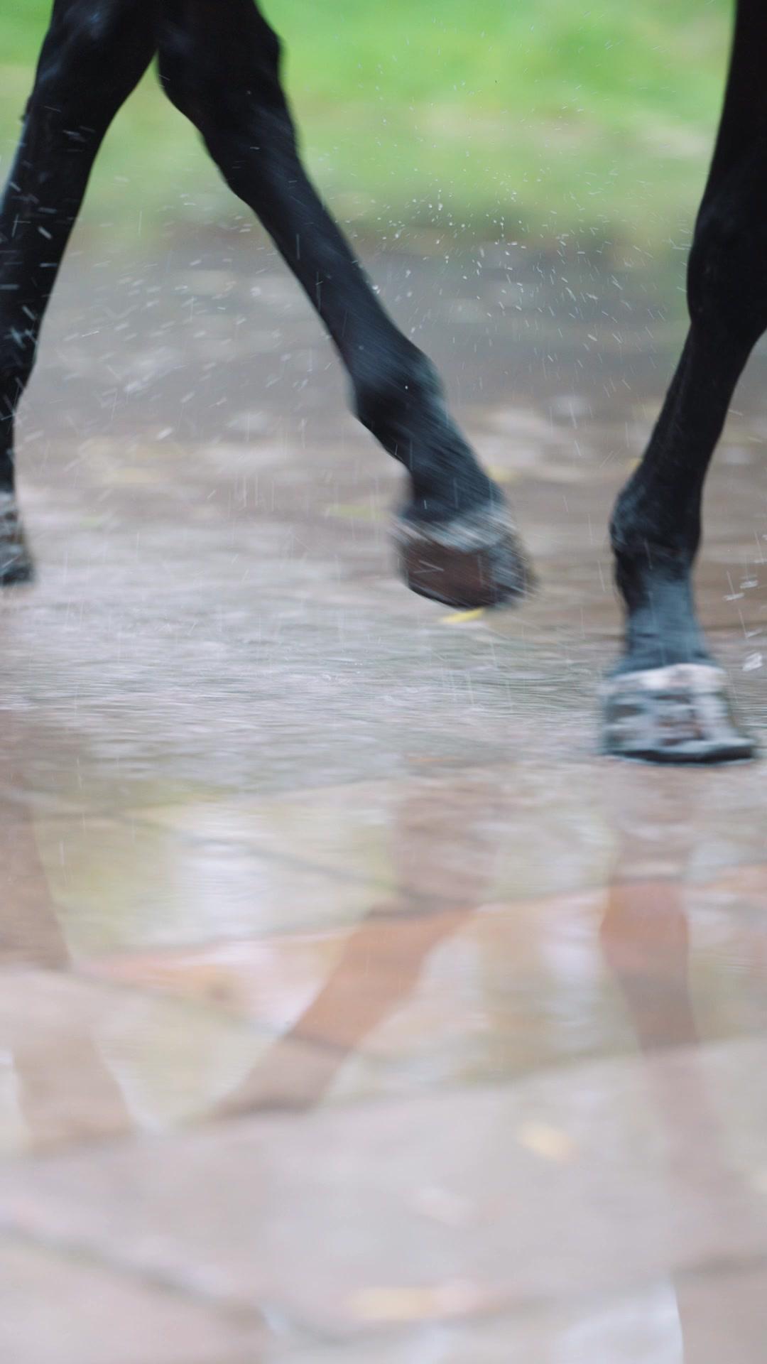 이혼부터 하겠습니다