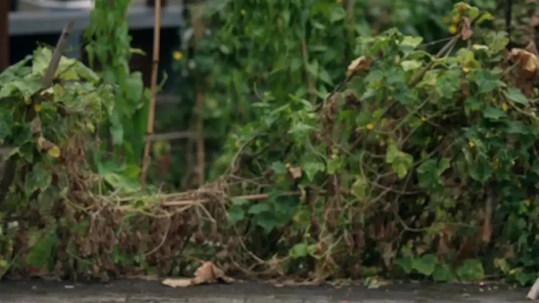 The Paper That Broke the Village