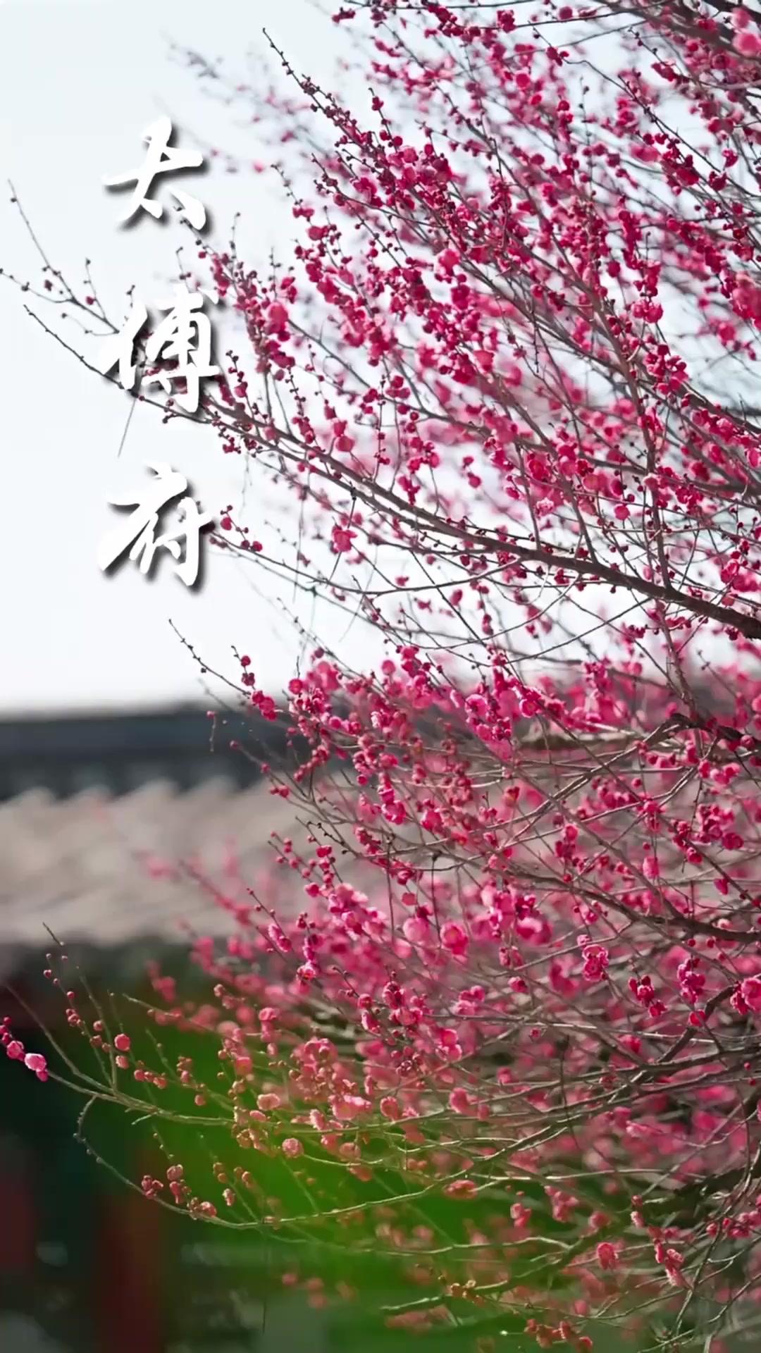 Perkahwinan, Tuan Sangat Suka Bermanja