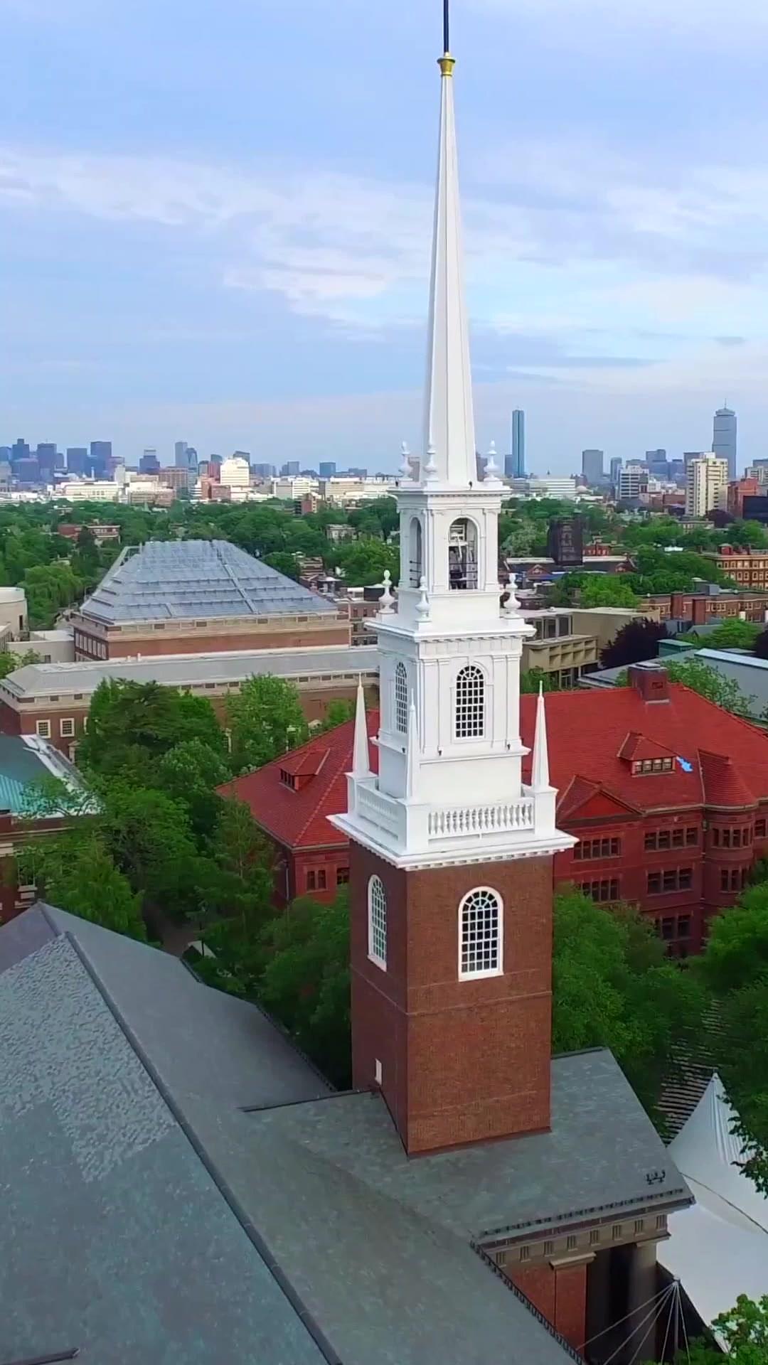 FLORAISON EN PLEIN ÉTÉ 