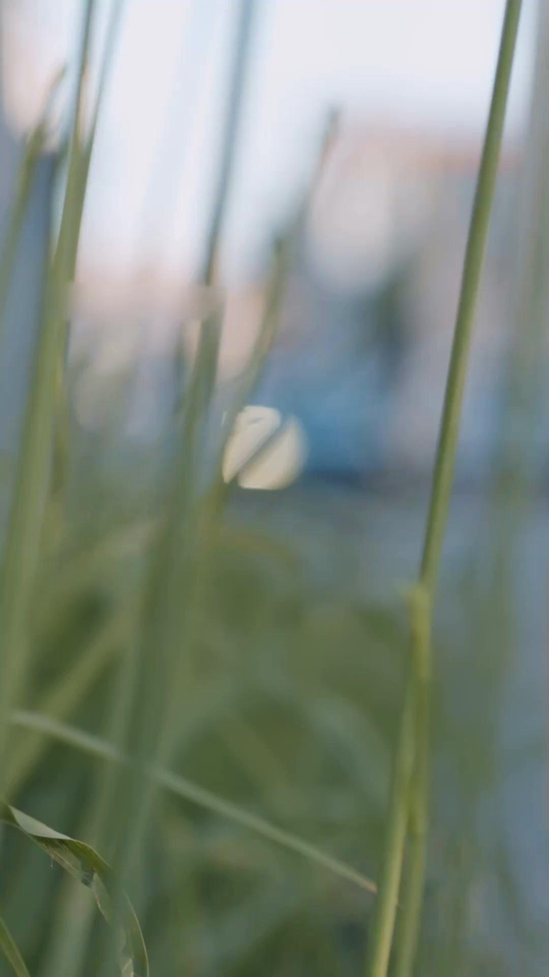 My Broke Husband is a Legend?!