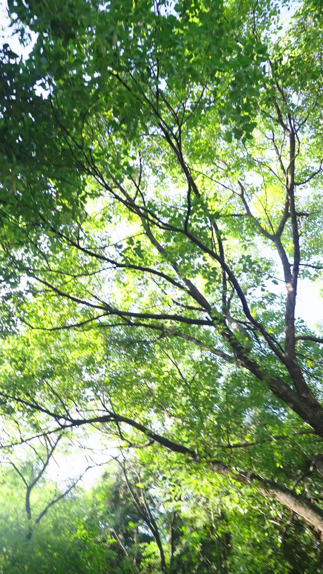 Kisses from My Wild Hunter