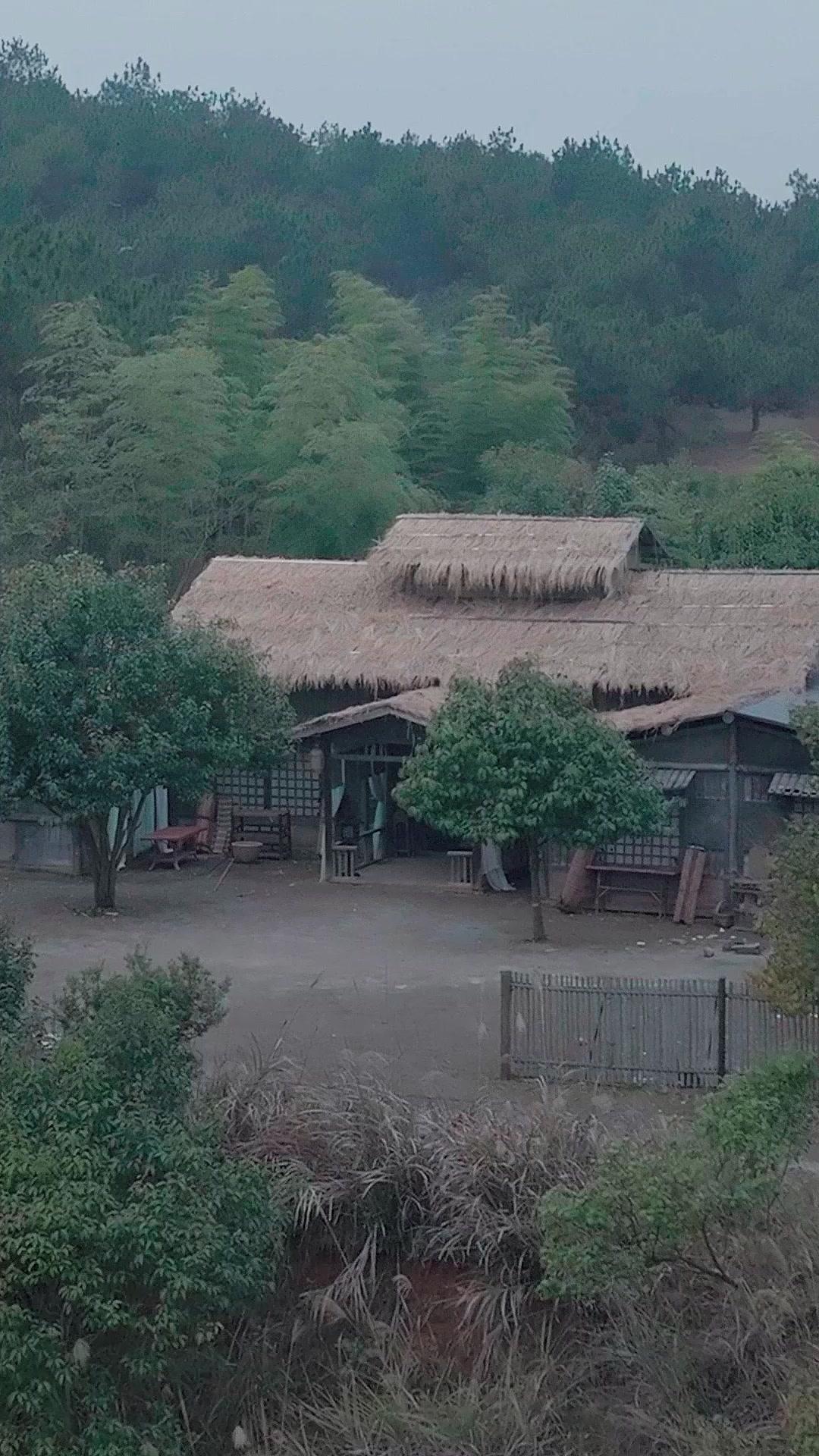 초풍, 천하를 바로잡다