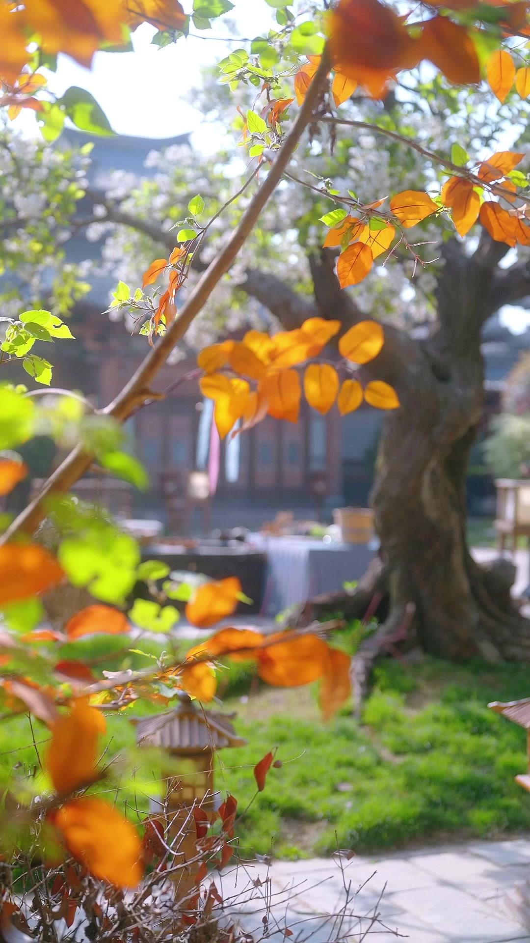 Masuk buku jadi kesayangan kaisar