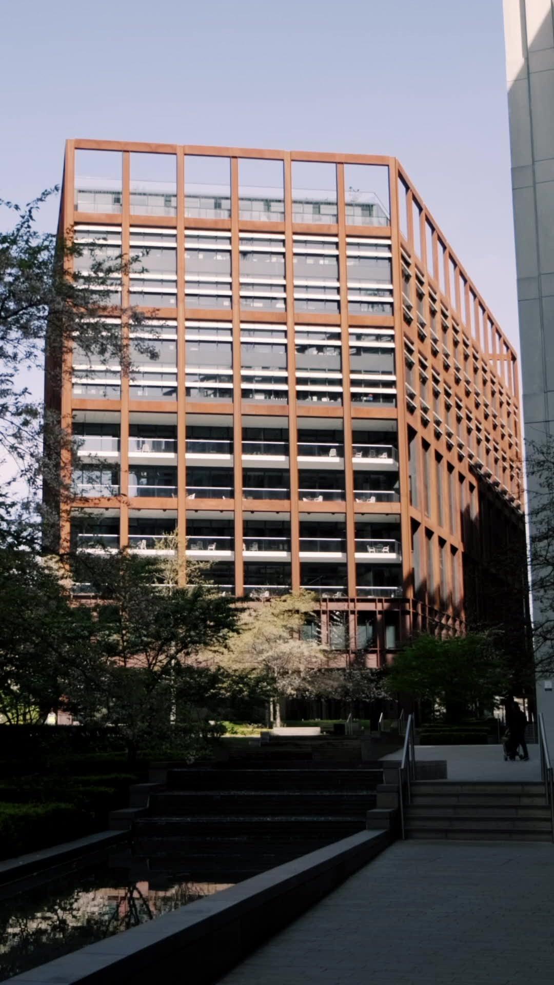 Say you remember, say you love