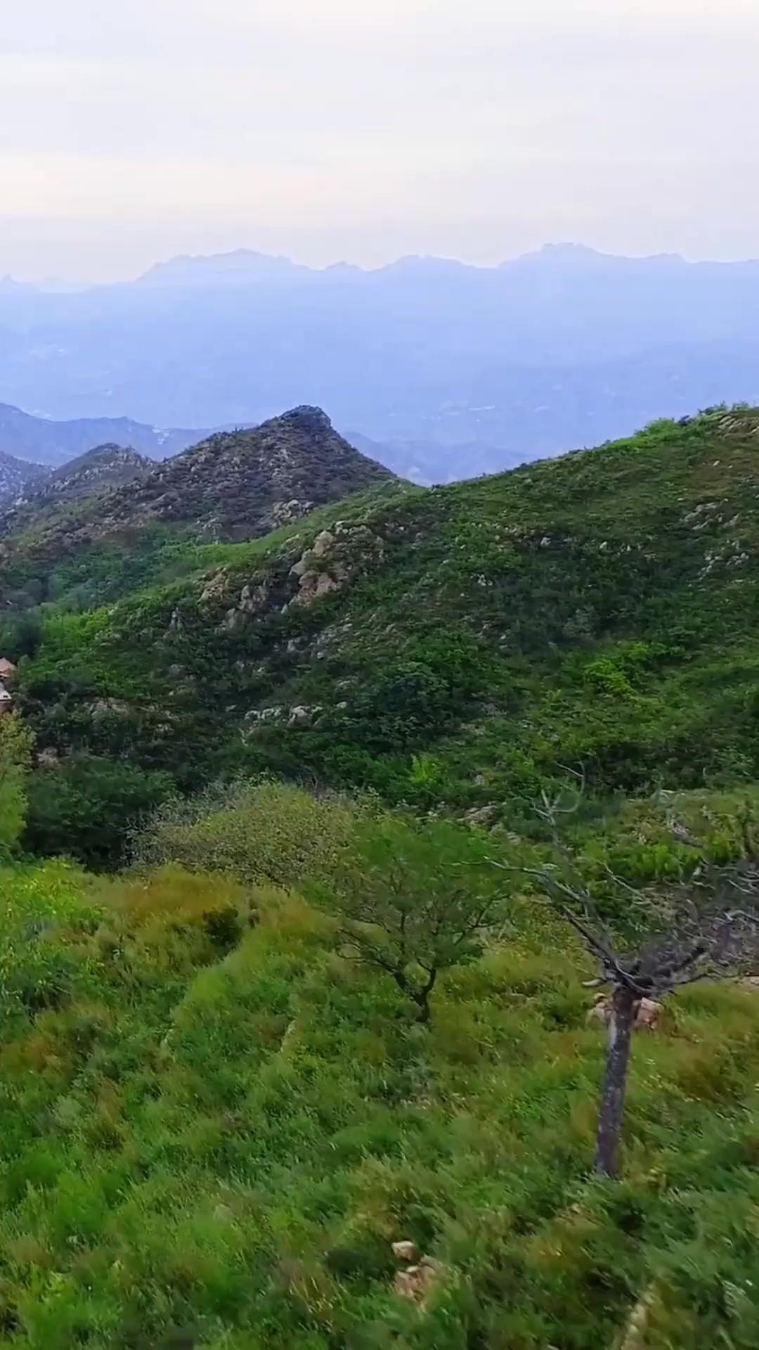 Raja Tinju di Balik Gerobak