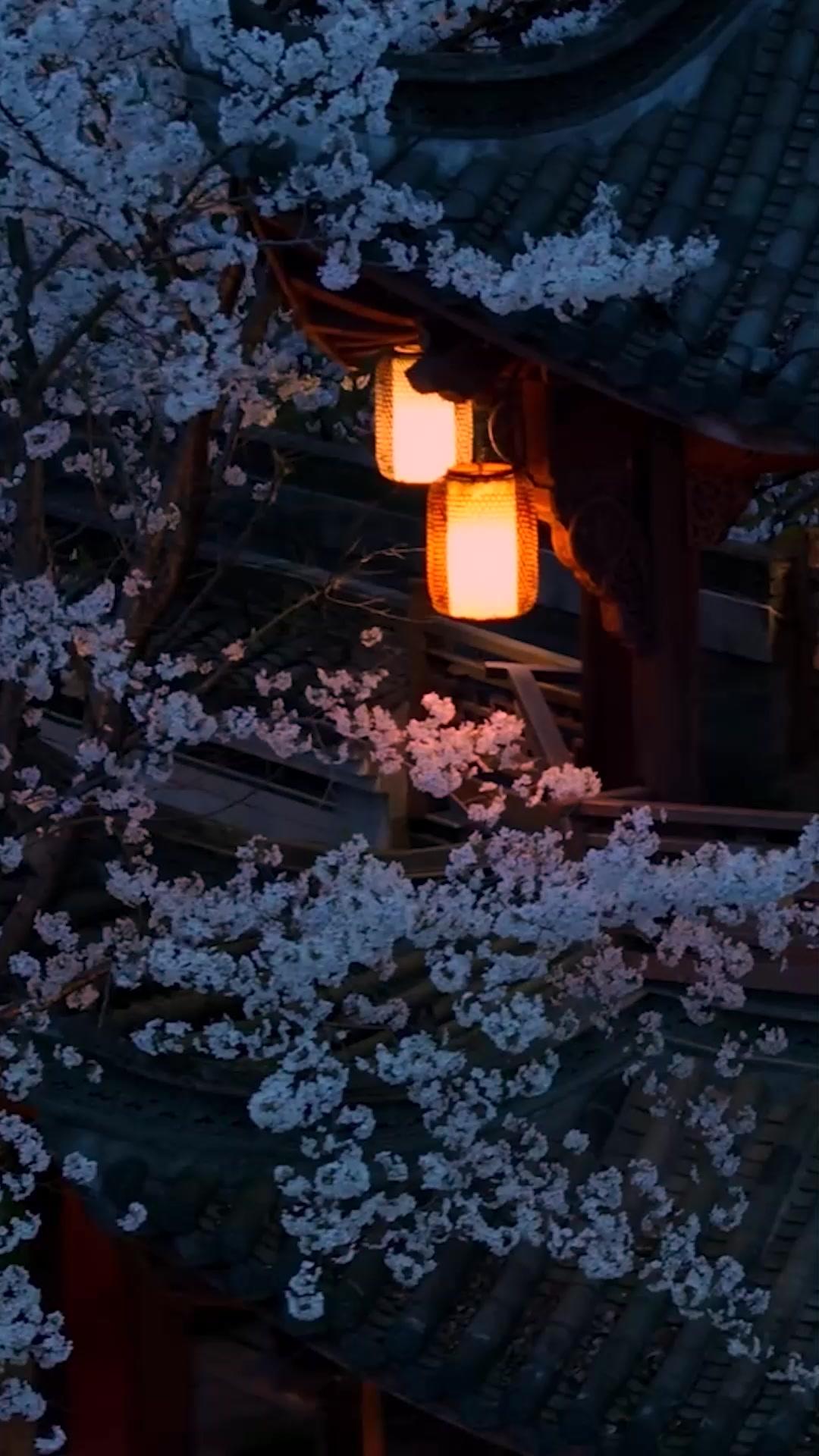 The Fake Emperor’s Game