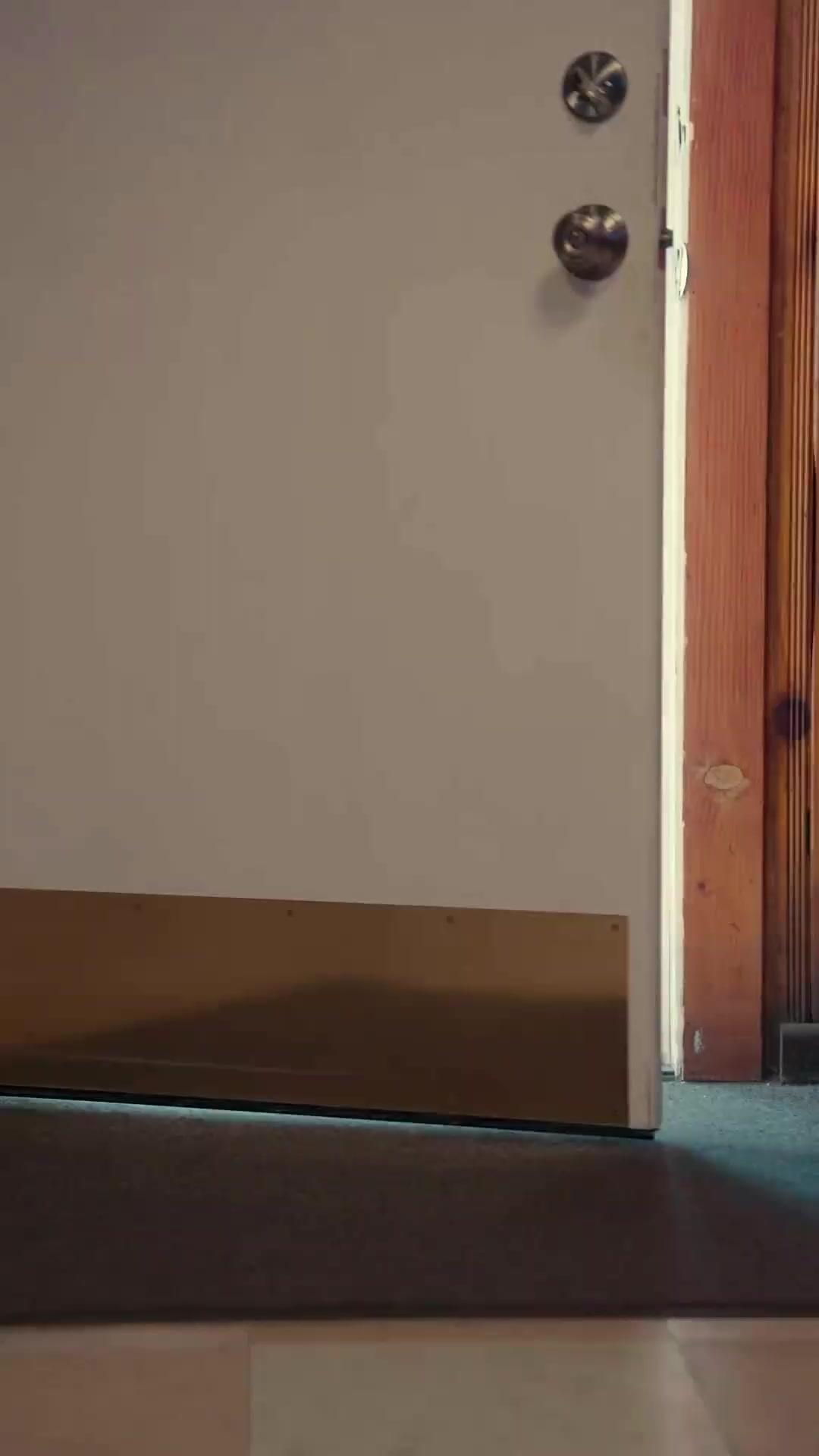 (Doblado)Mi mamá es agente de élite