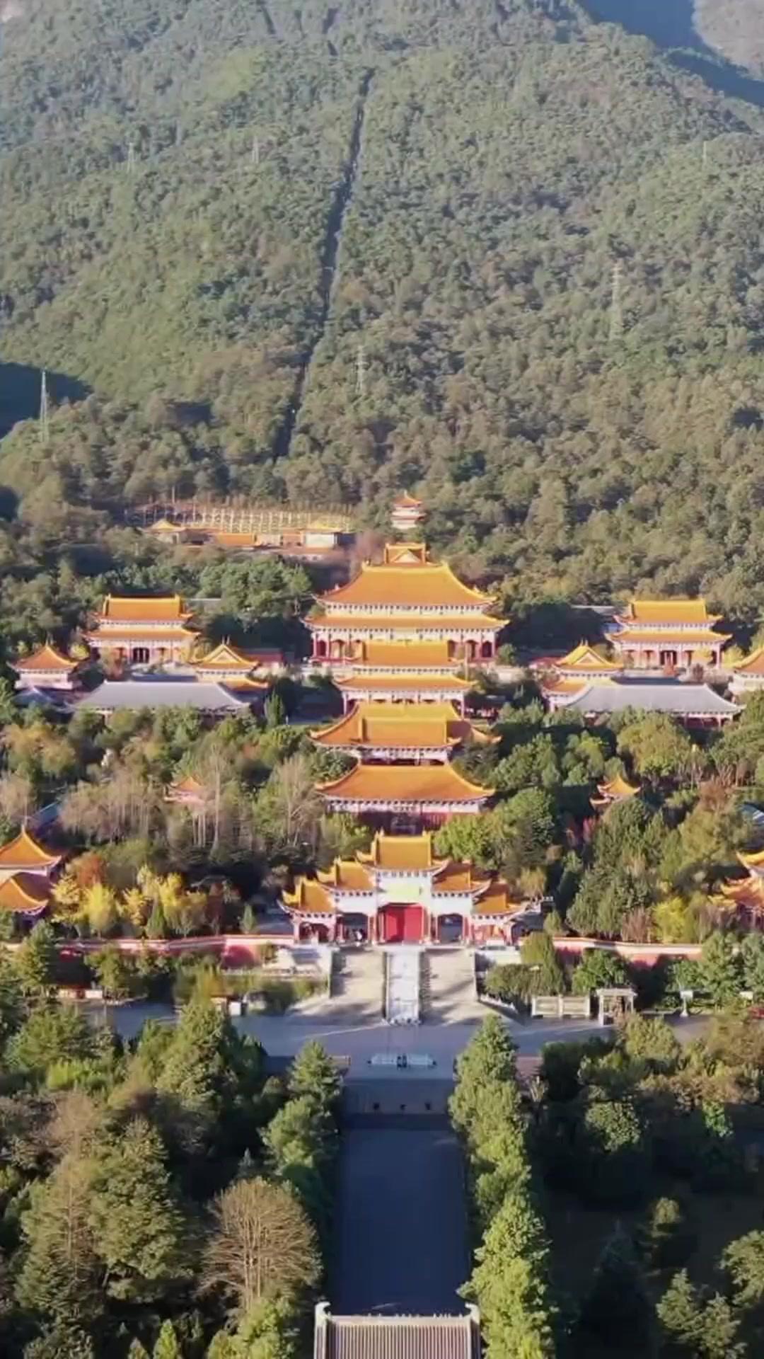 Yaşam Ağacının Son Dalı