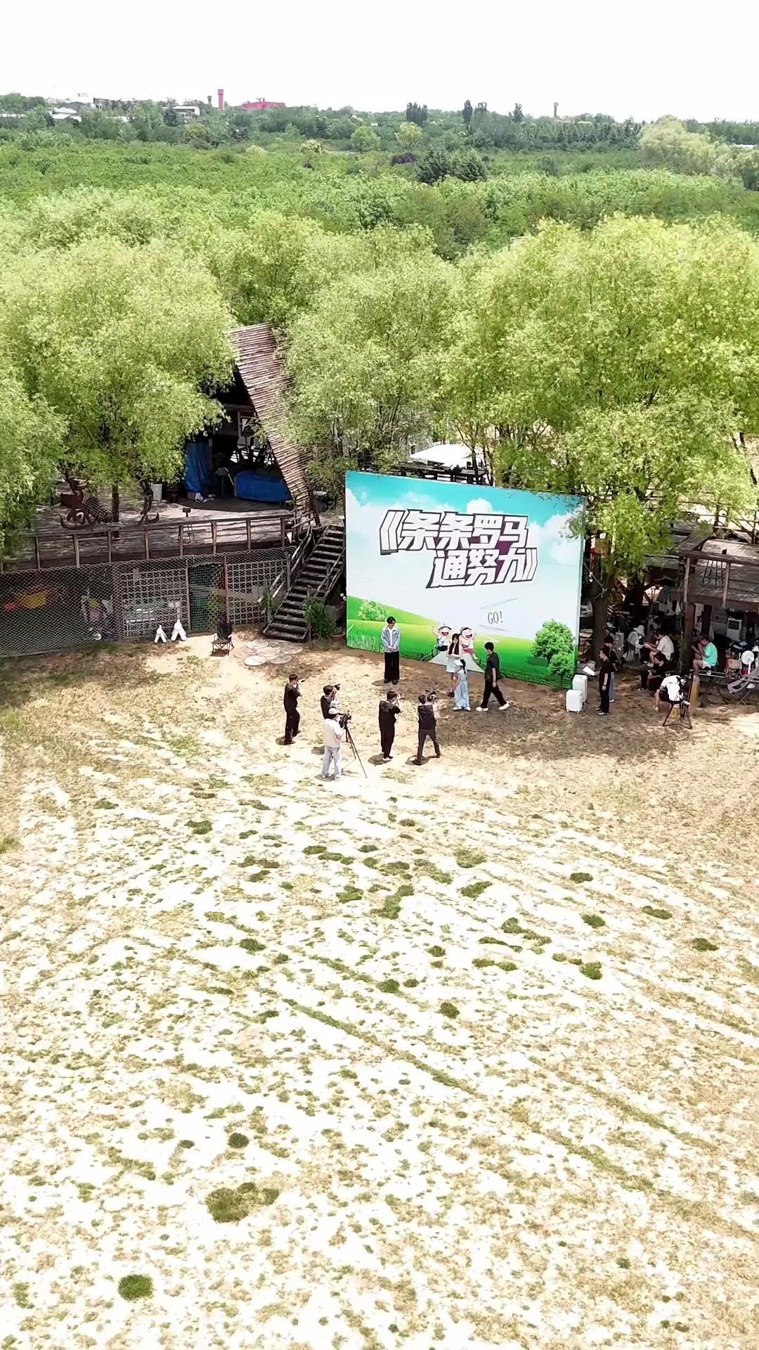 兄たち、偽物の私を守りすぎ！