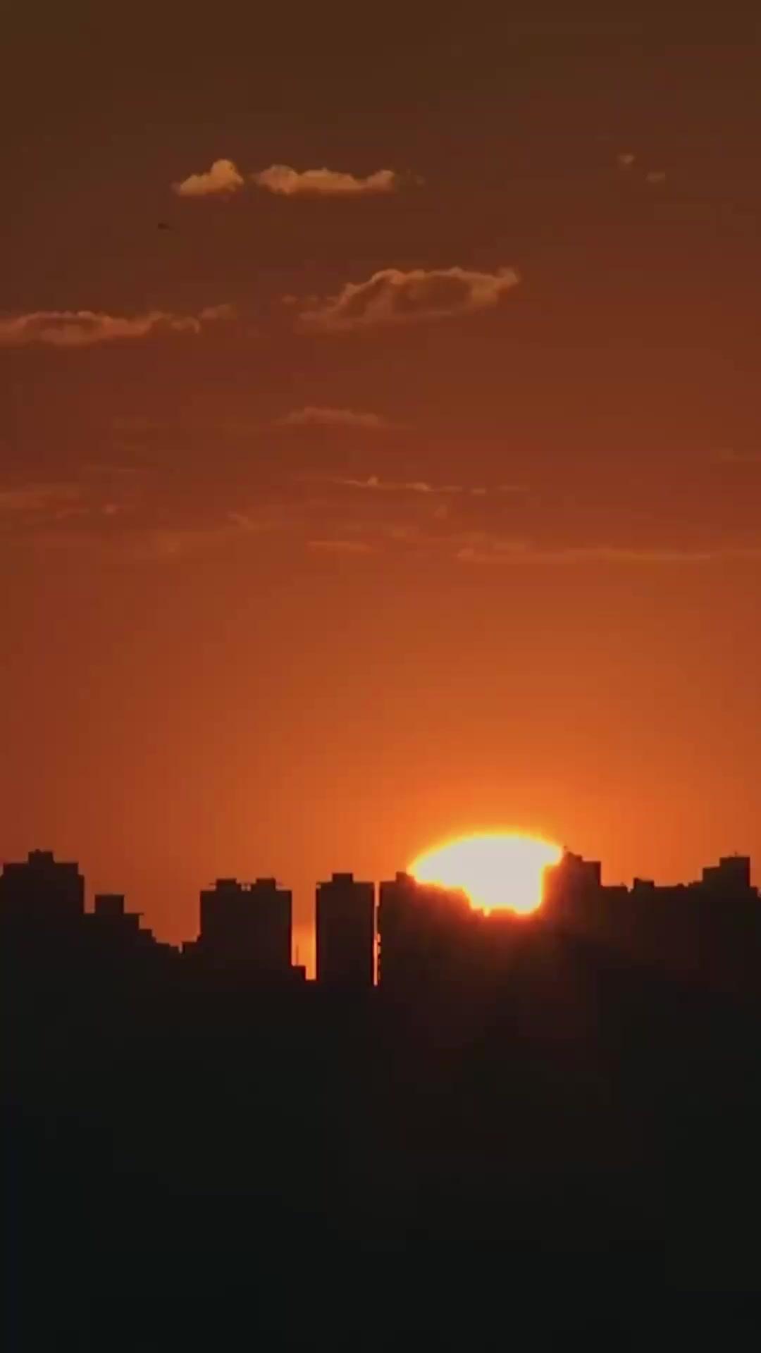 Schicksalshafte Wiedervereinigung