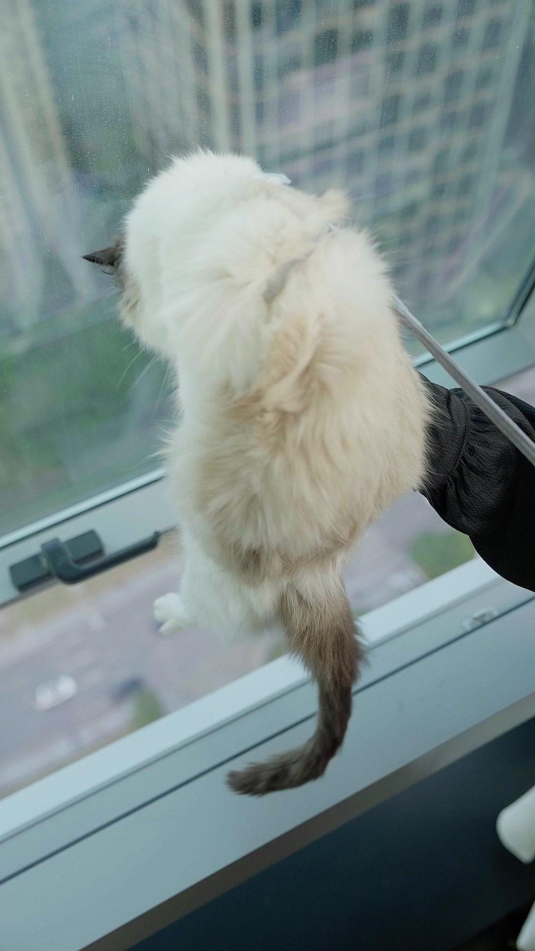 Don't Mess With the Newbie