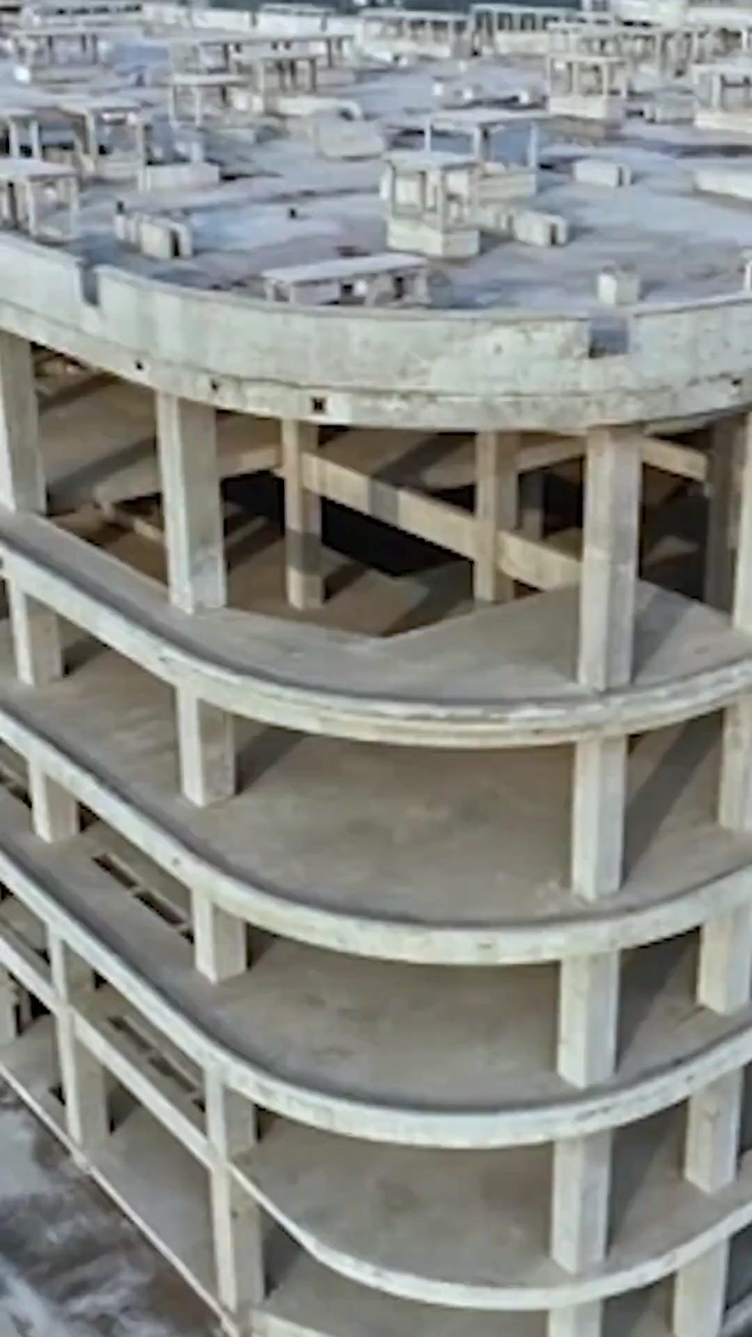 (Dubbed)Emerged from the Ashes