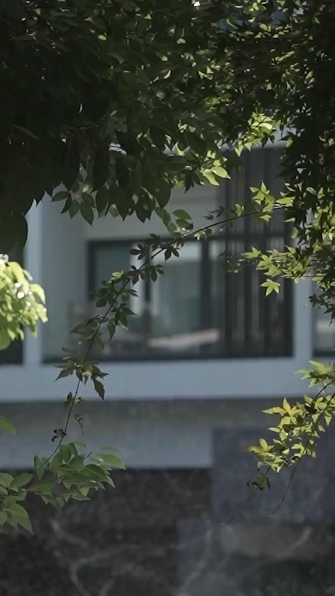 Caí en la trampa del amor