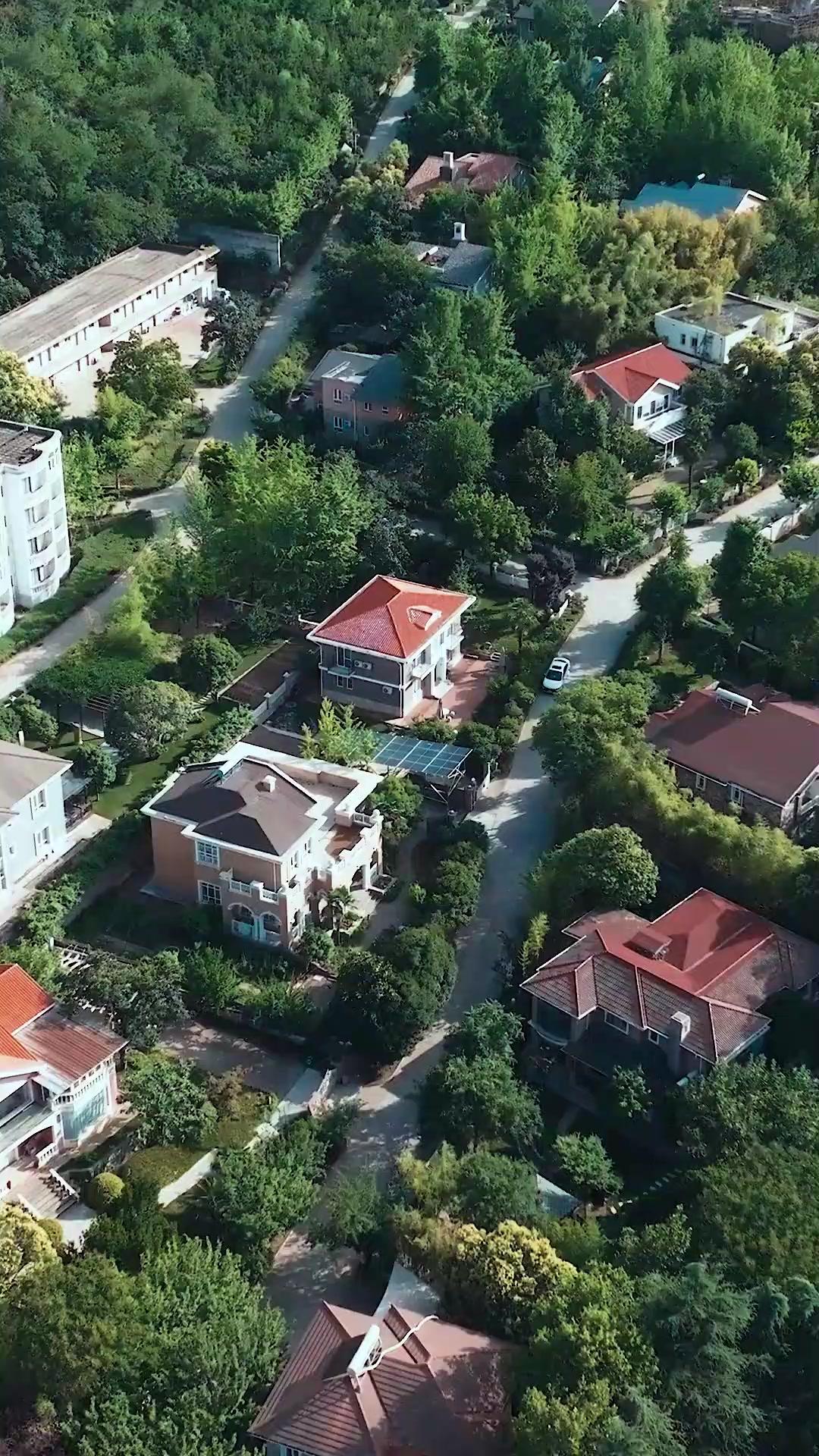 仁義～dead or alive～