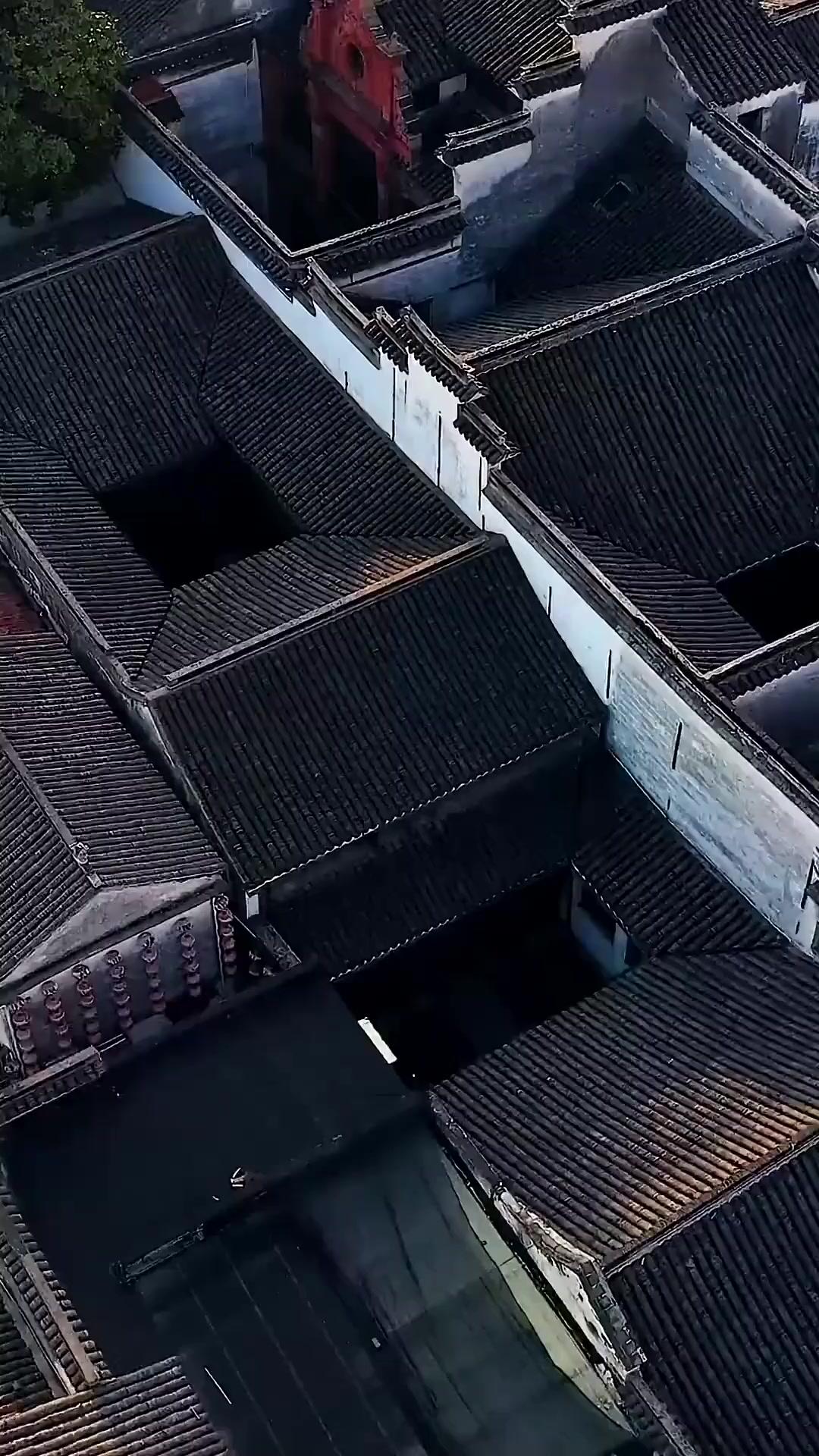 Ikan Asin Jadi Naga Pengguncang Langit