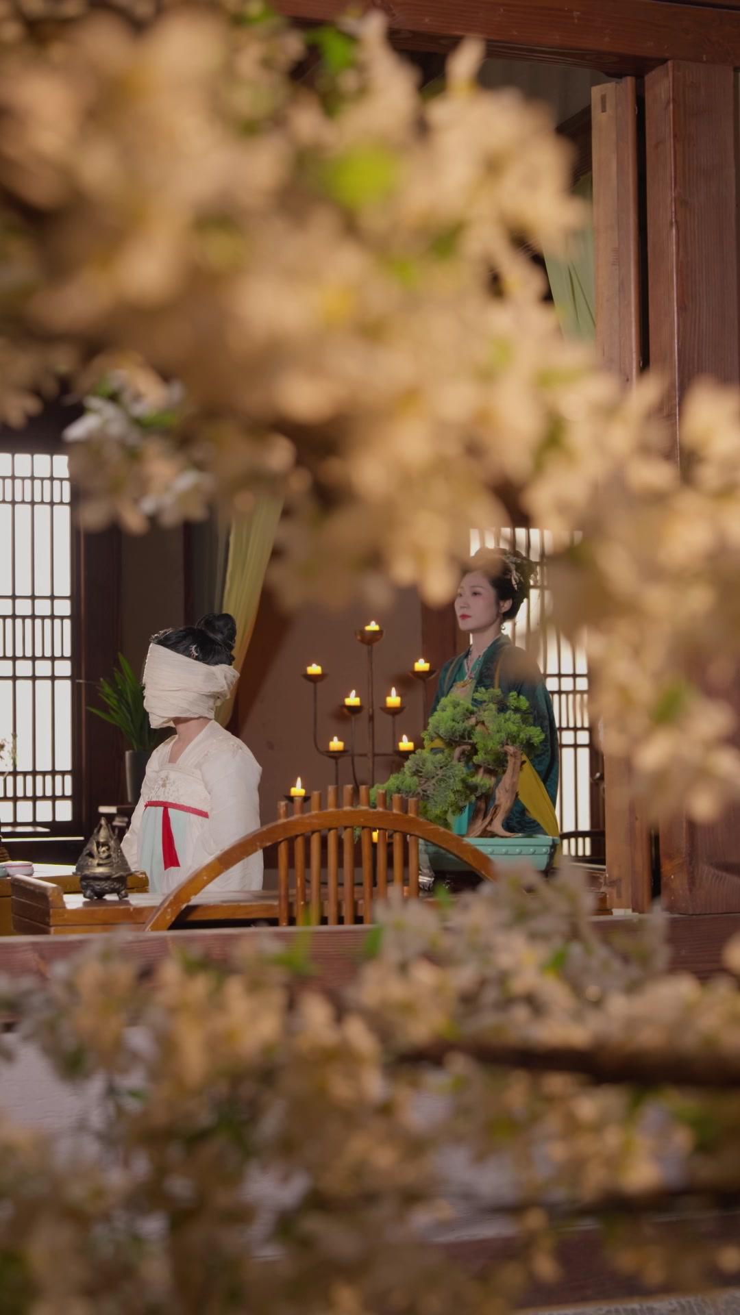 Vengeance of the Face-Swapped Heiress