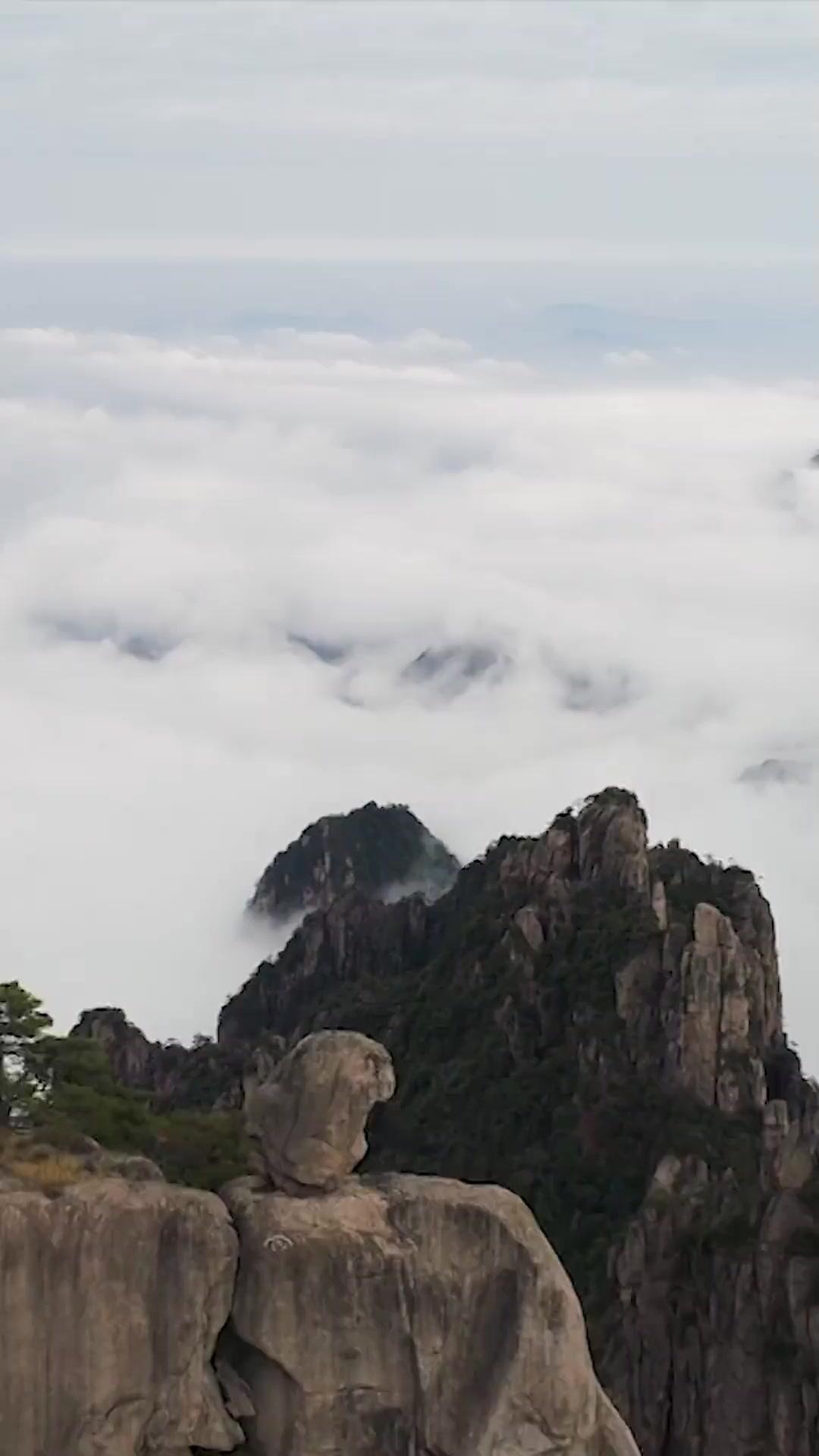 OMG! The Martial Ace’s a Woman?